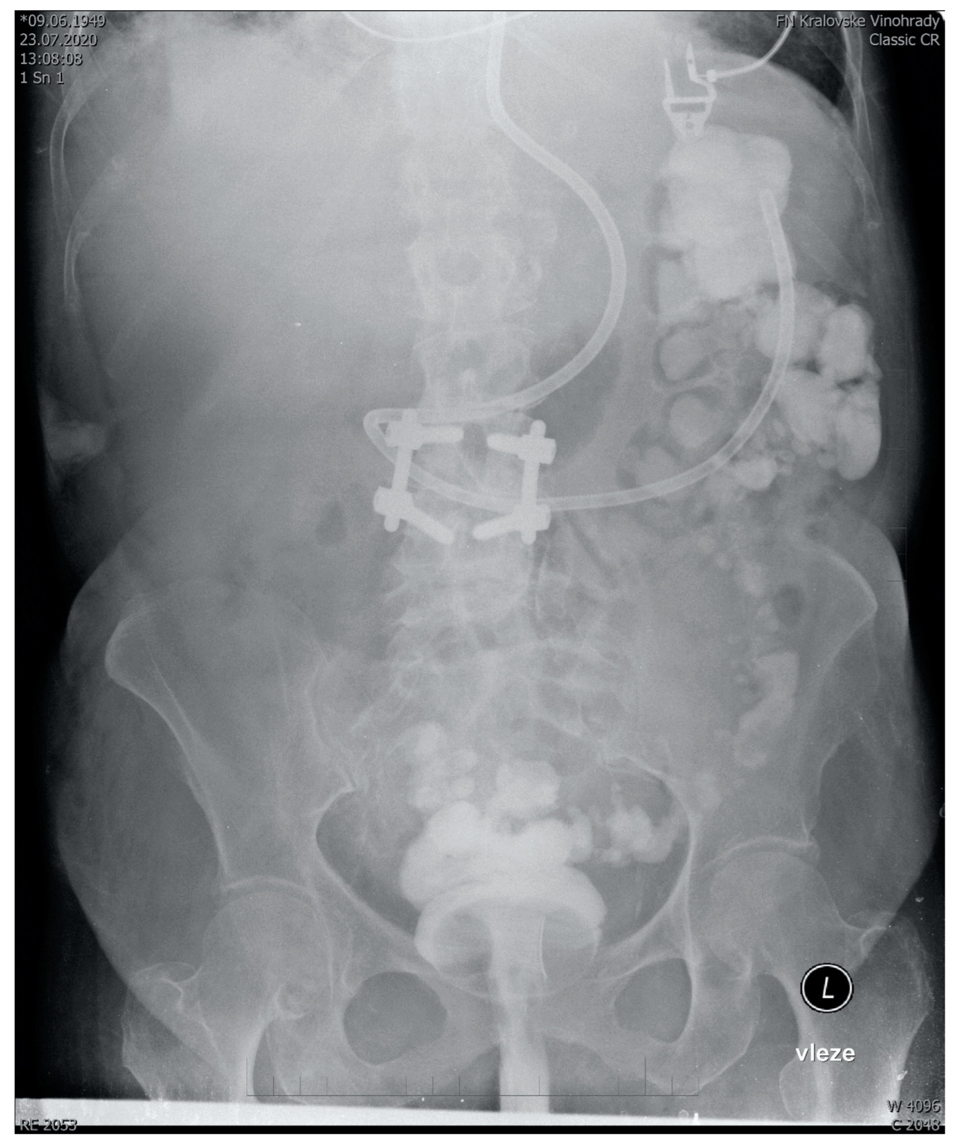 Futurepharmacol 02 00005 g001