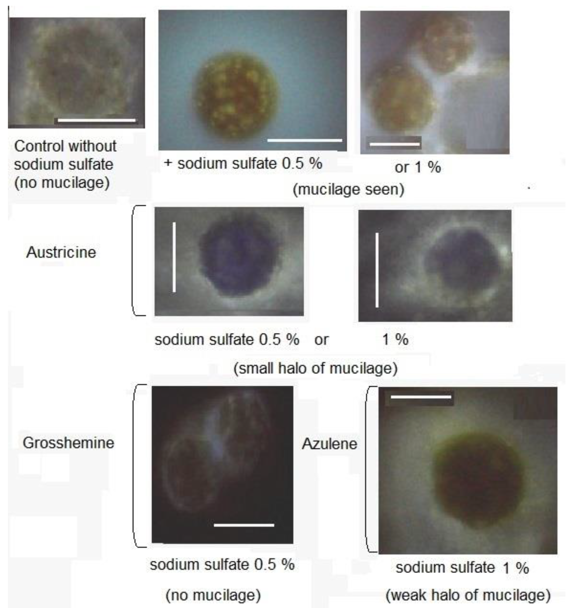 Futurepharmacol 02 00010 g006