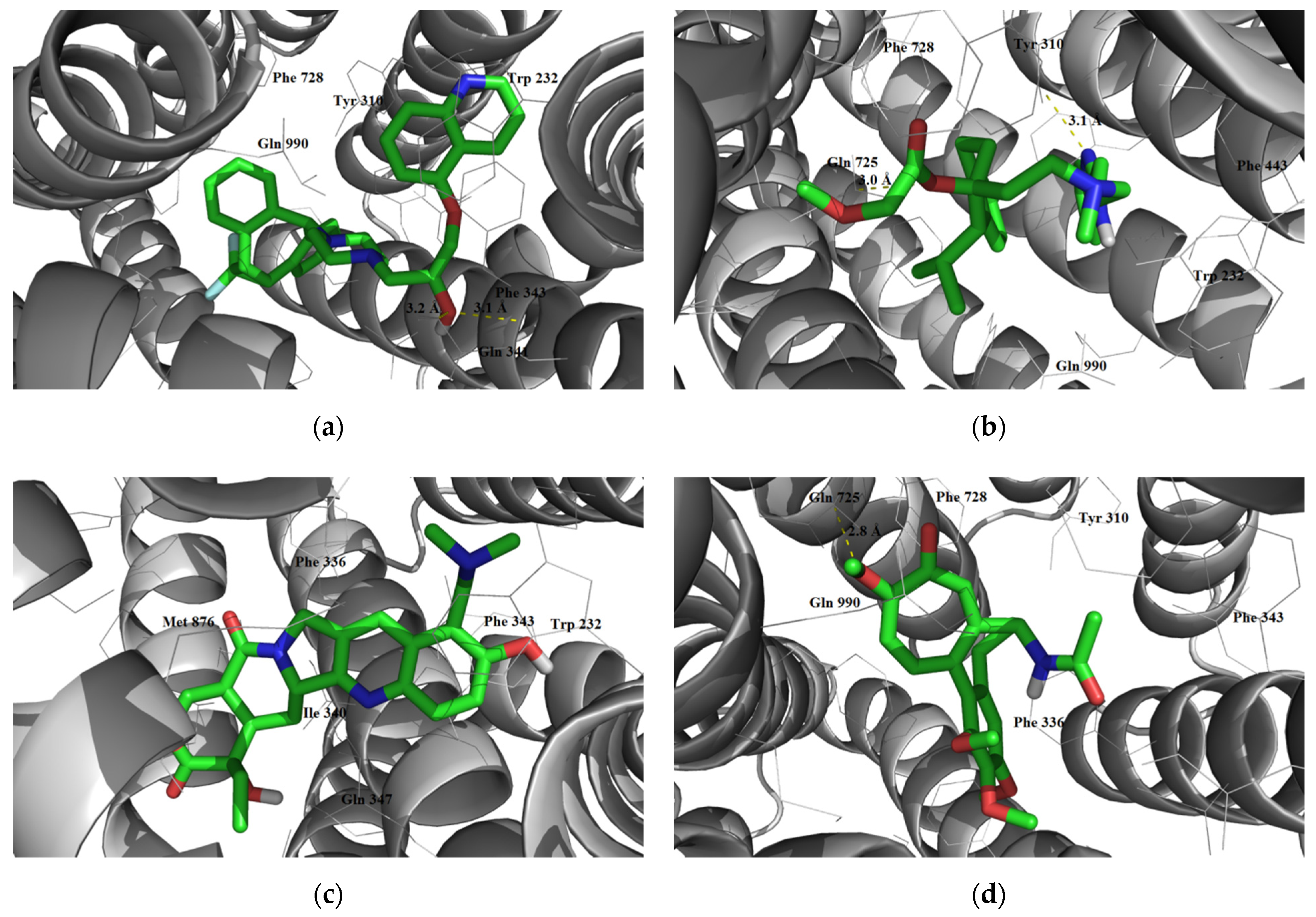 Futurepharmacol 02 00013 g006