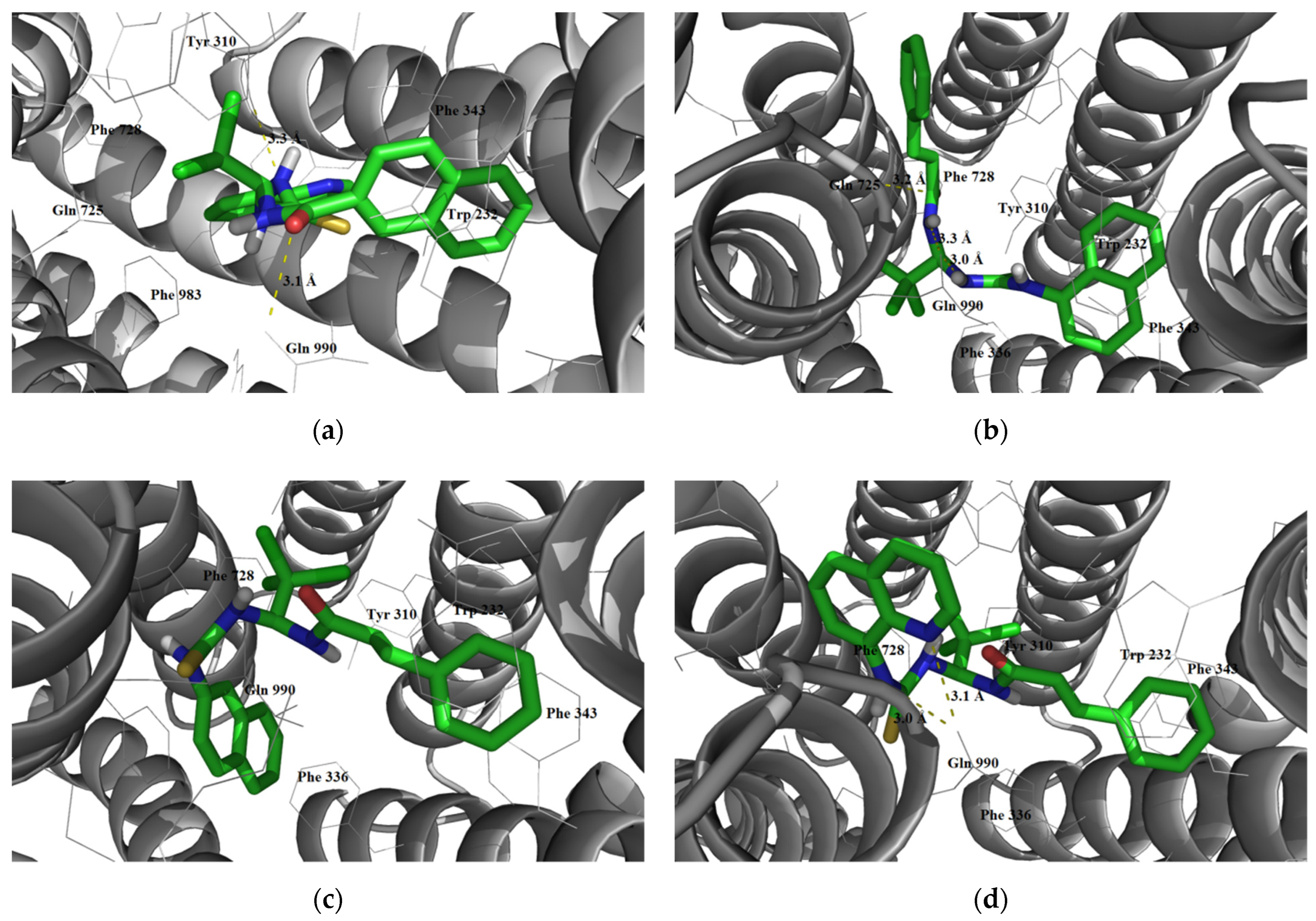 Futurepharmacol 02 00013 g007