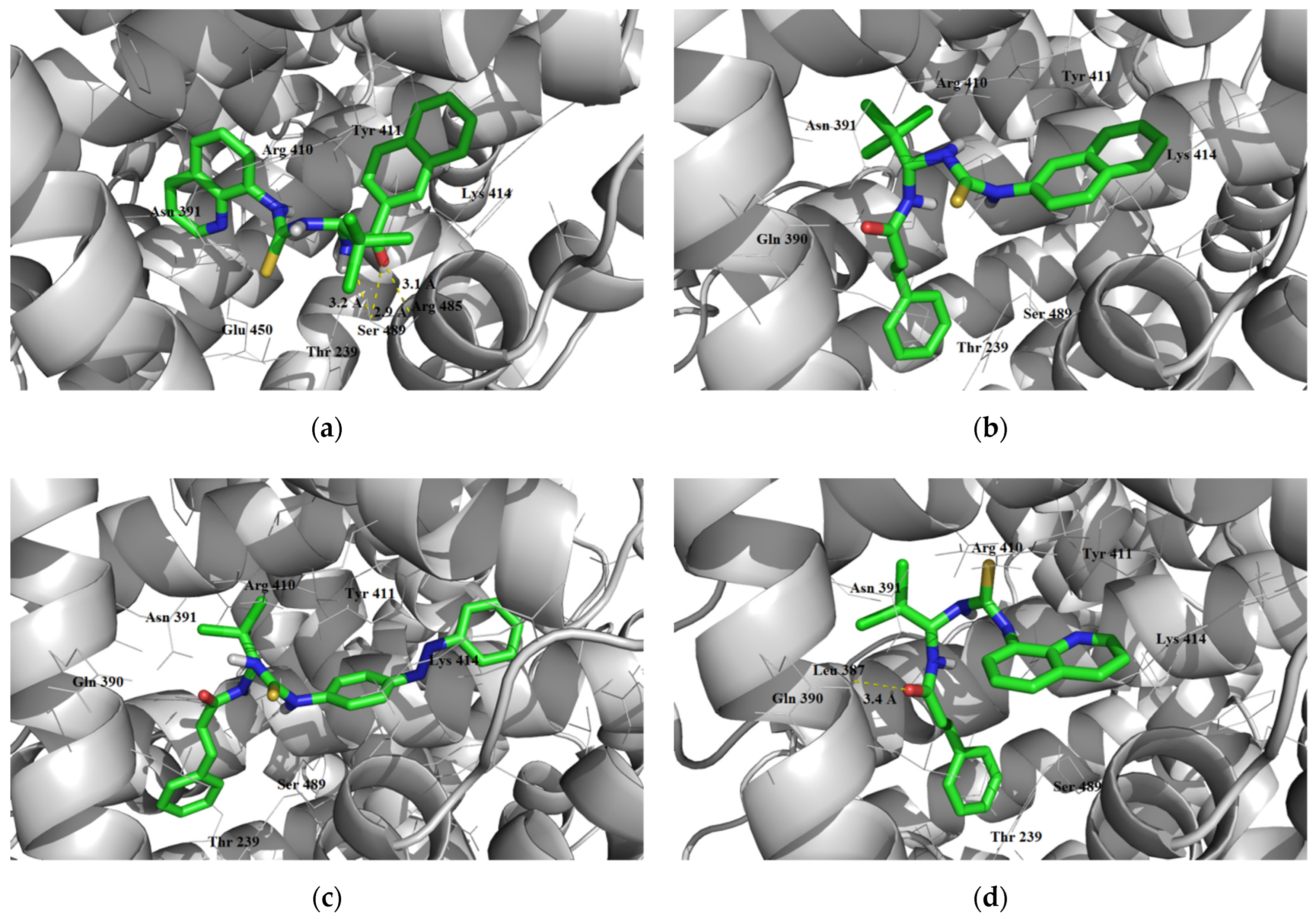 Futurepharmacol 02 00013 g009