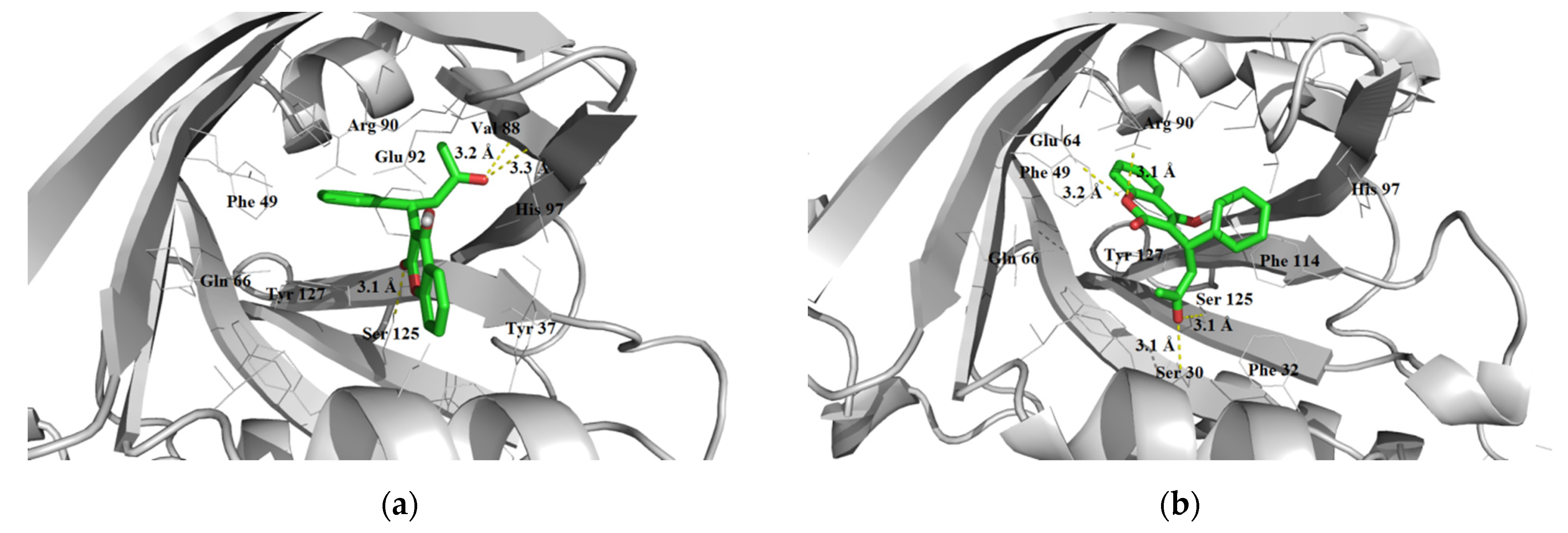 Futurepharmacol 02 00013 g010