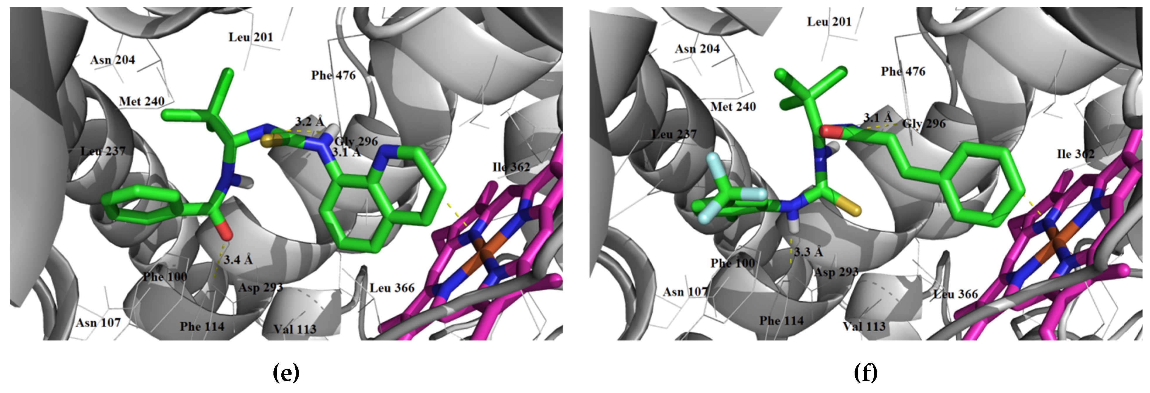 Futurepharmacol 02 00013 g015b
