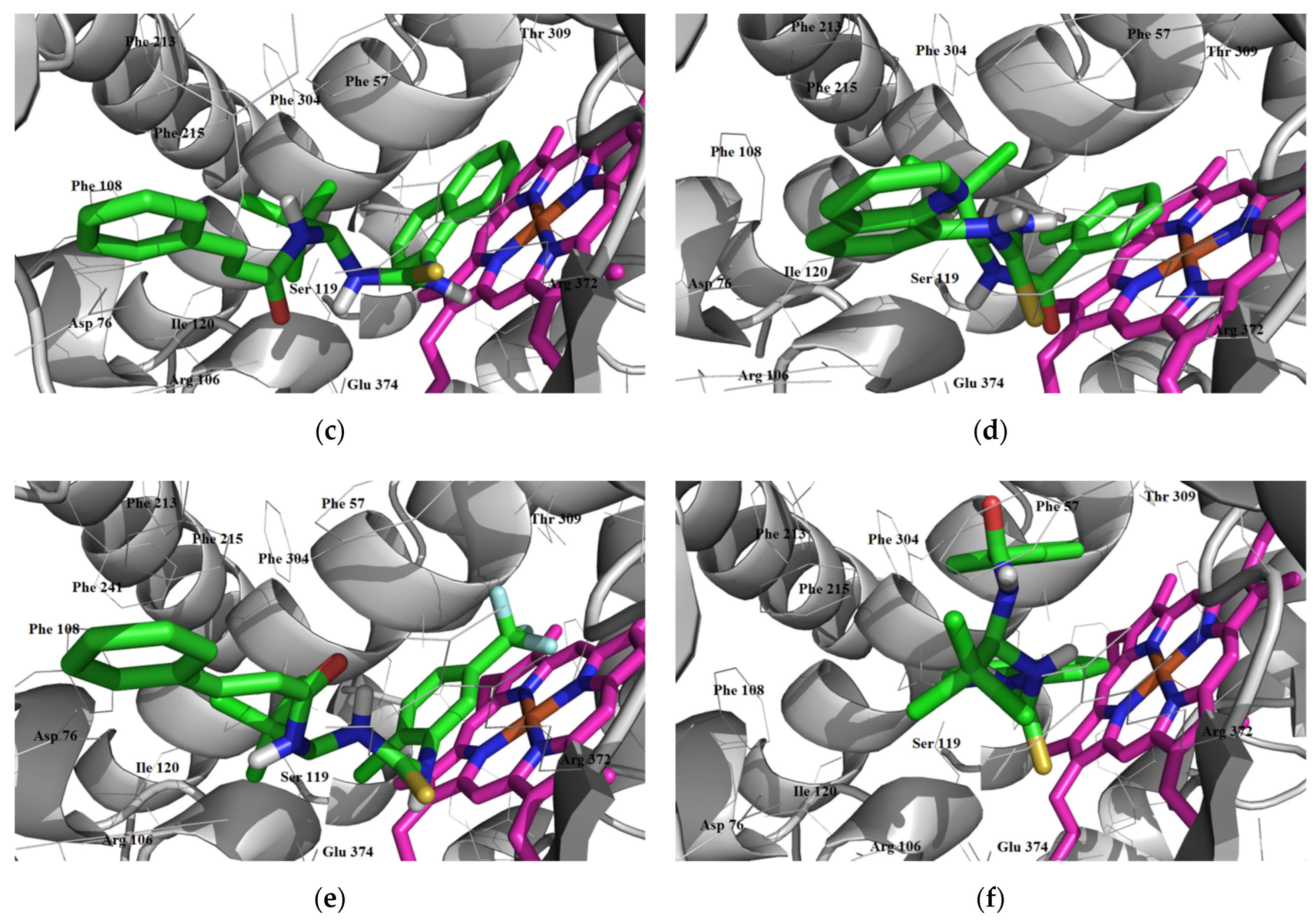 Futurepharmacol 02 00013 g017b