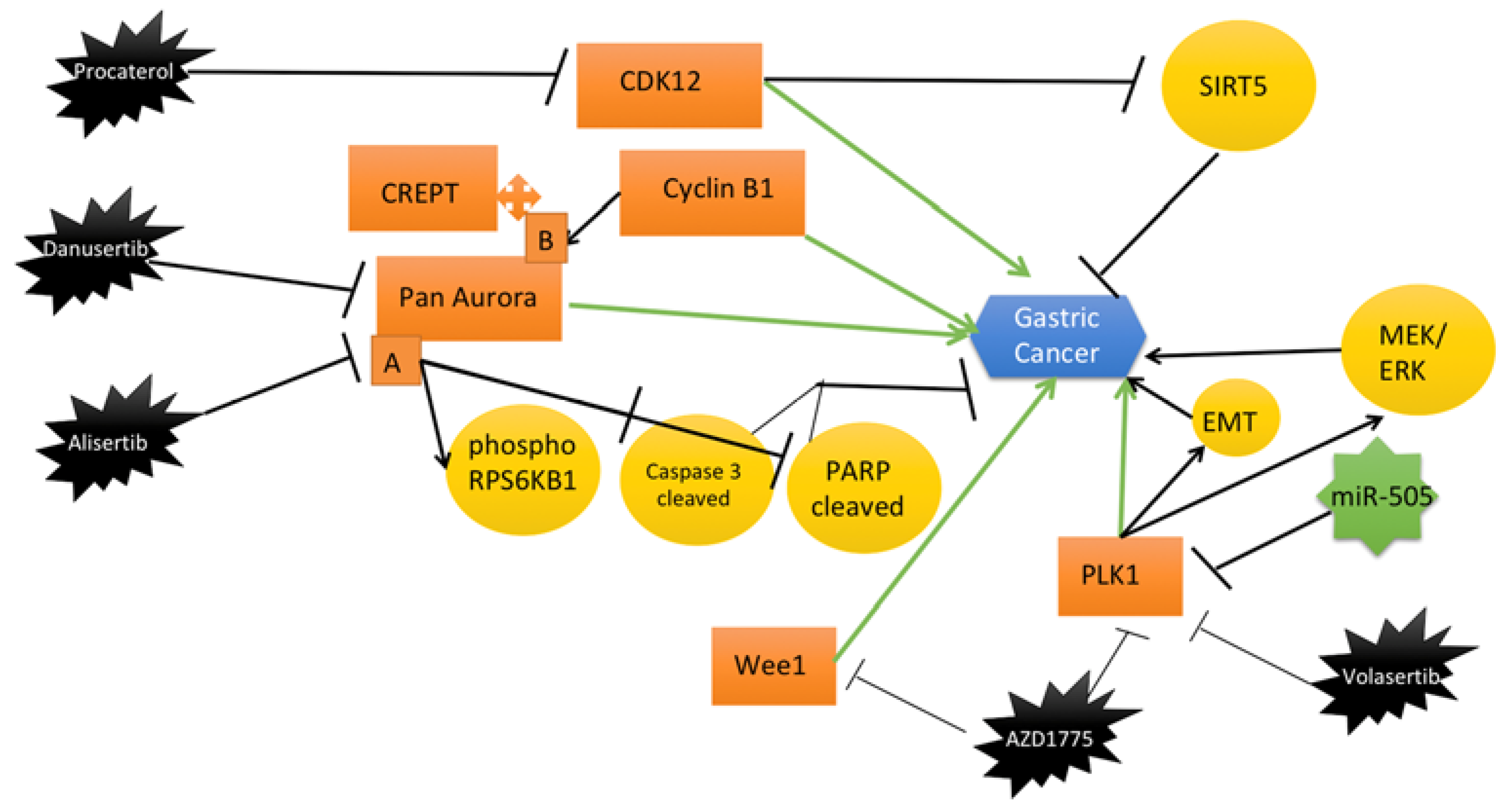 A Cell Type Selective YM155 Prodrug Targets Receptor-Interacting Protein  Kinase 2 to Induce Brain Cancer Cell Death