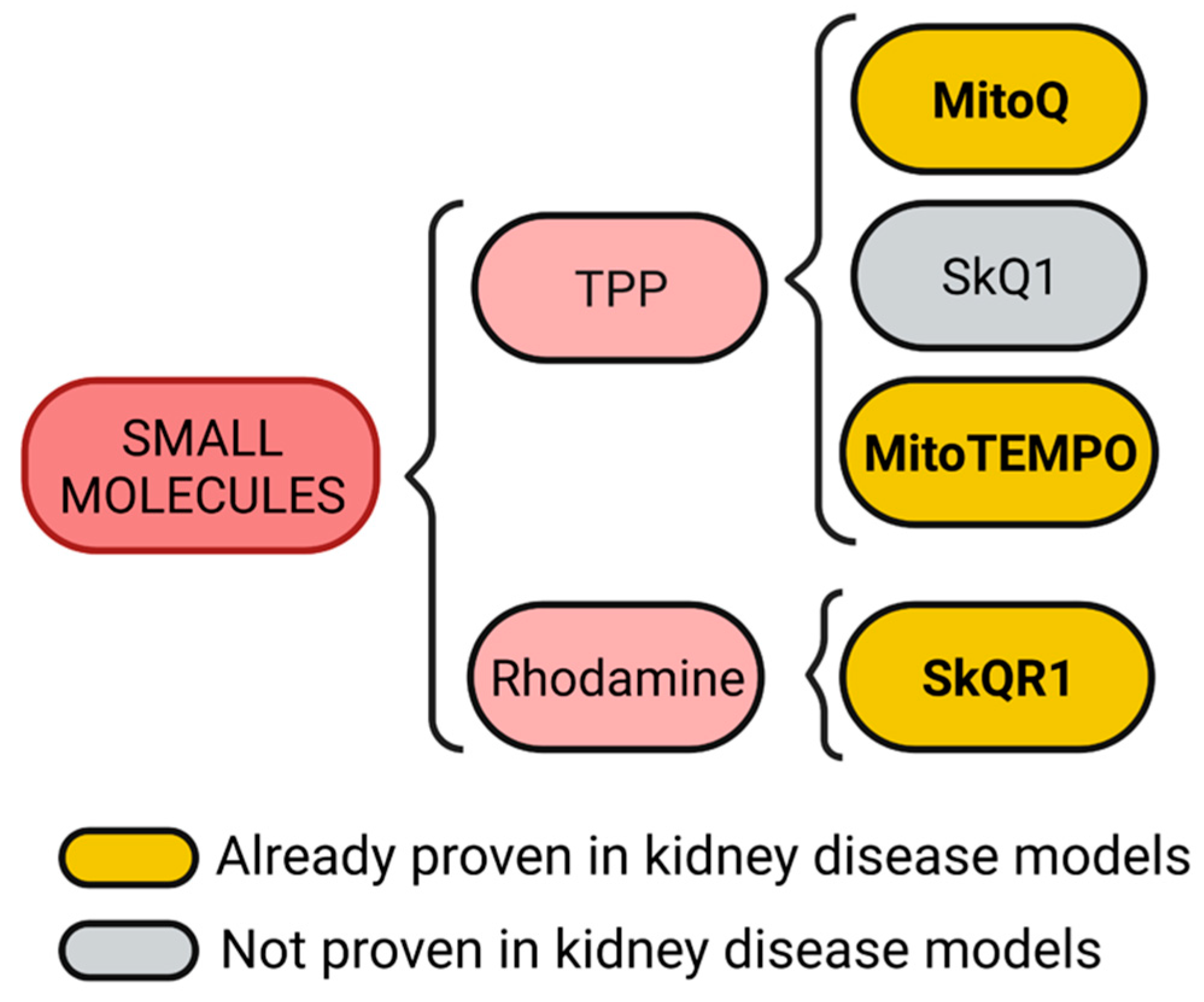 Futurepharmacol 02 00017 g002