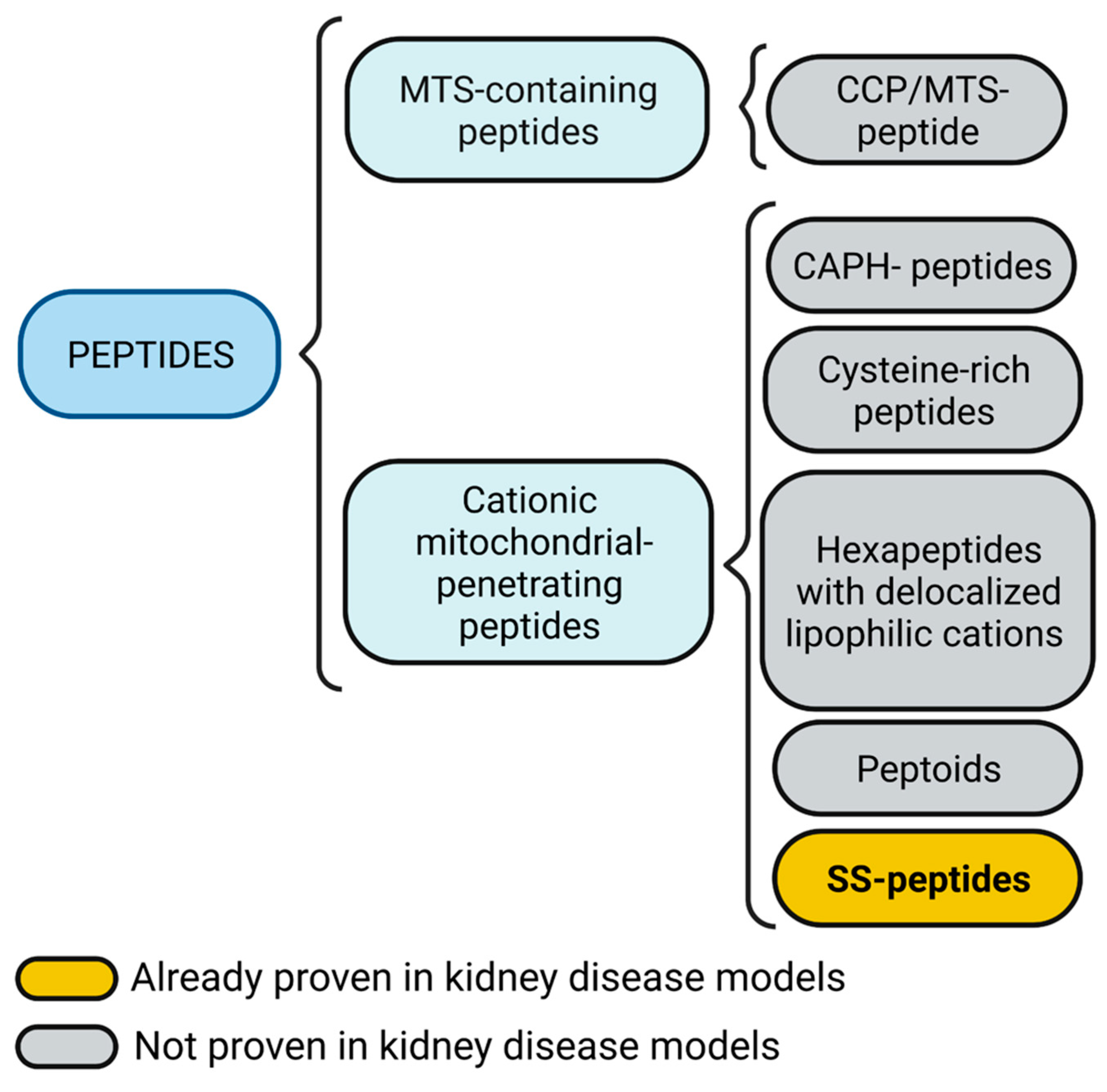 Futurepharmacol 02 00017 g003