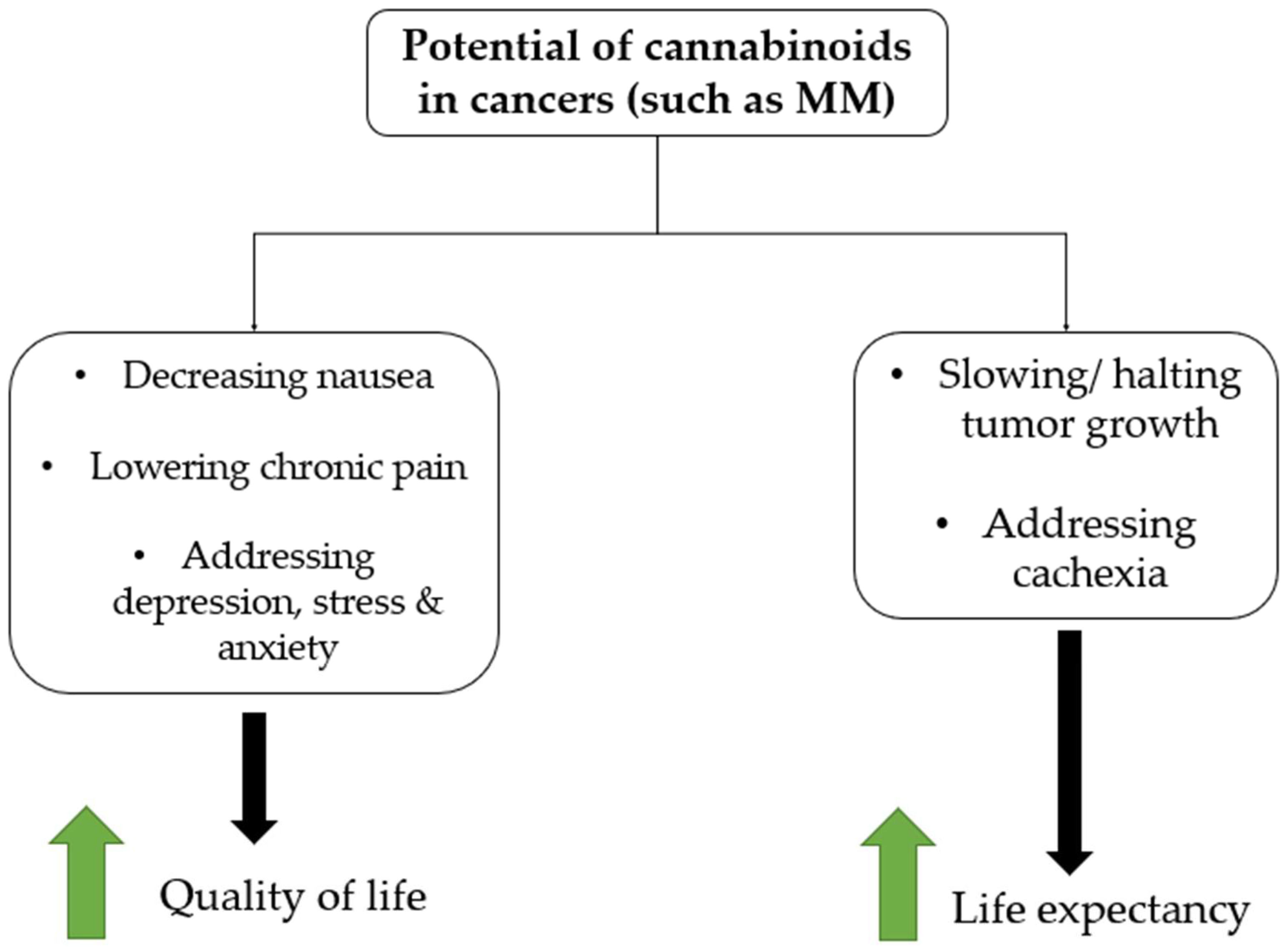 Future Pharmacology Free FullText The Influence of Cannabinoids on