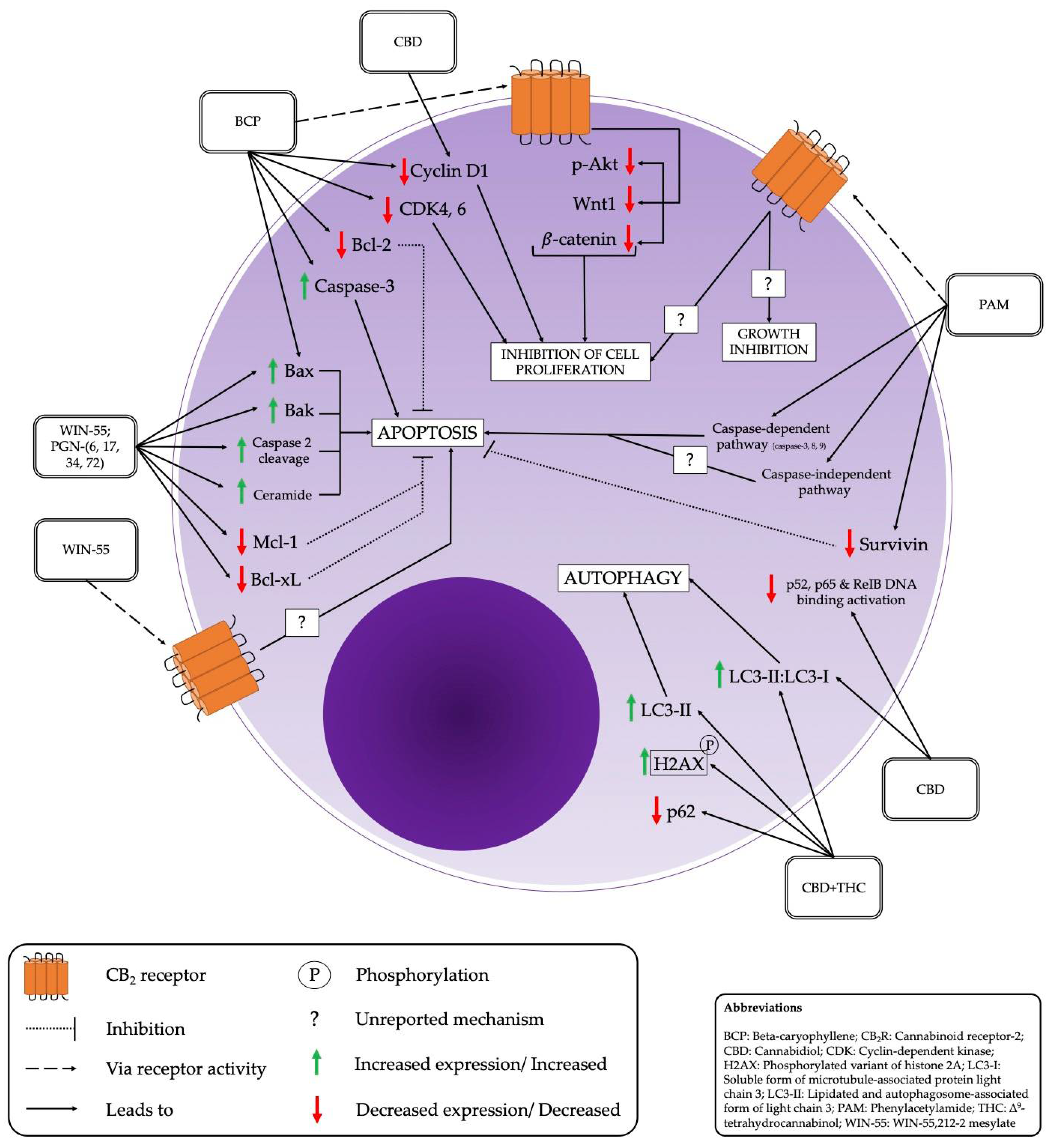 Futurepharmacol 02 00024 g003 550