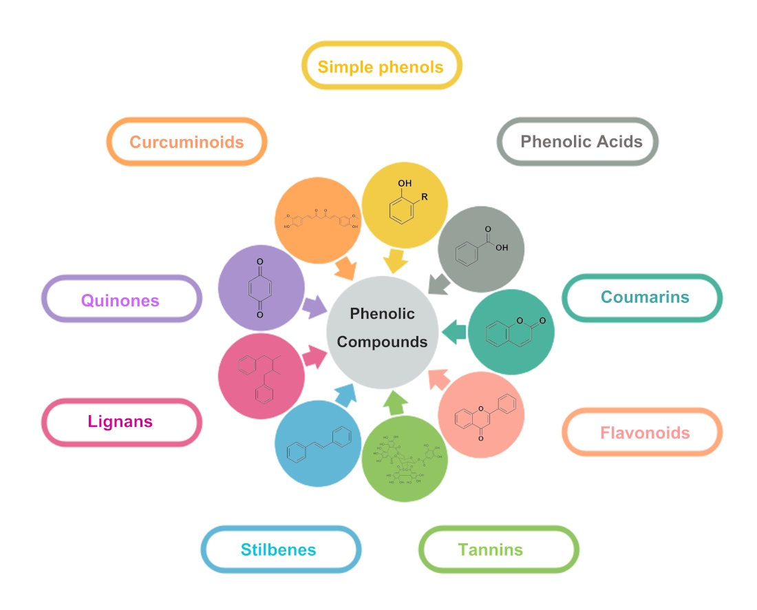 Future Pharmacology Free FullText Preventing Microbial Infections