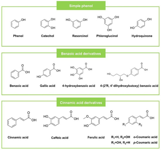 Future Pharmacology Free FullText Preventing Microbial Infections