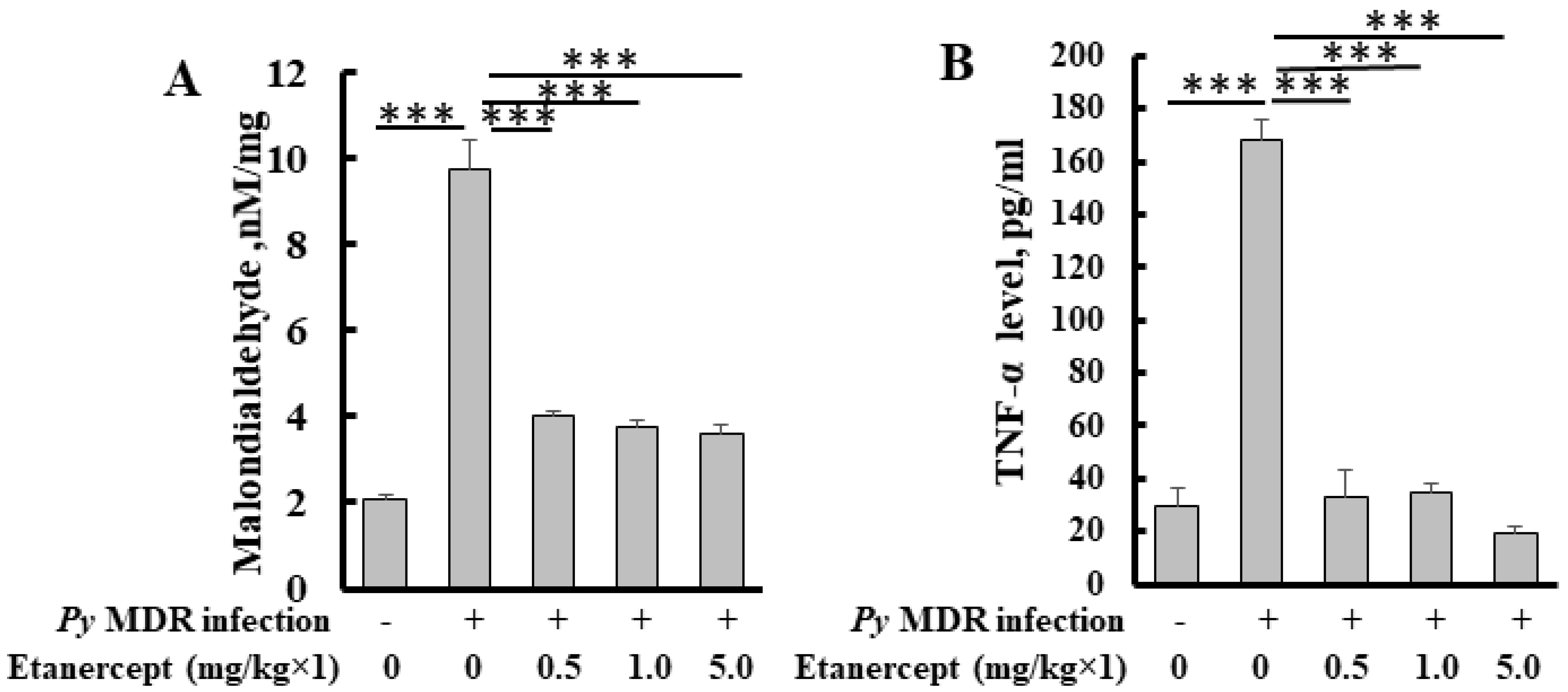 Futurepharmacol 02 00031 g004 Futurepharmacol 02 00031 g004