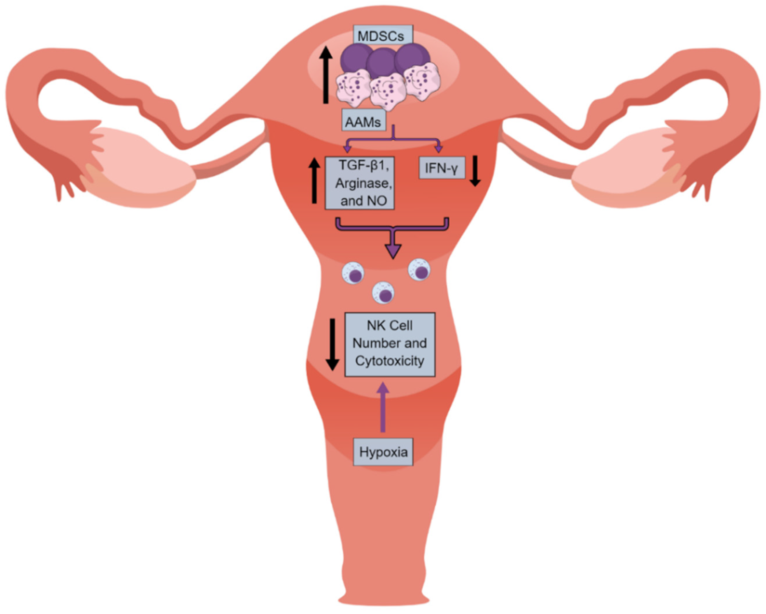 Futurepharmacol 02 00039 g002