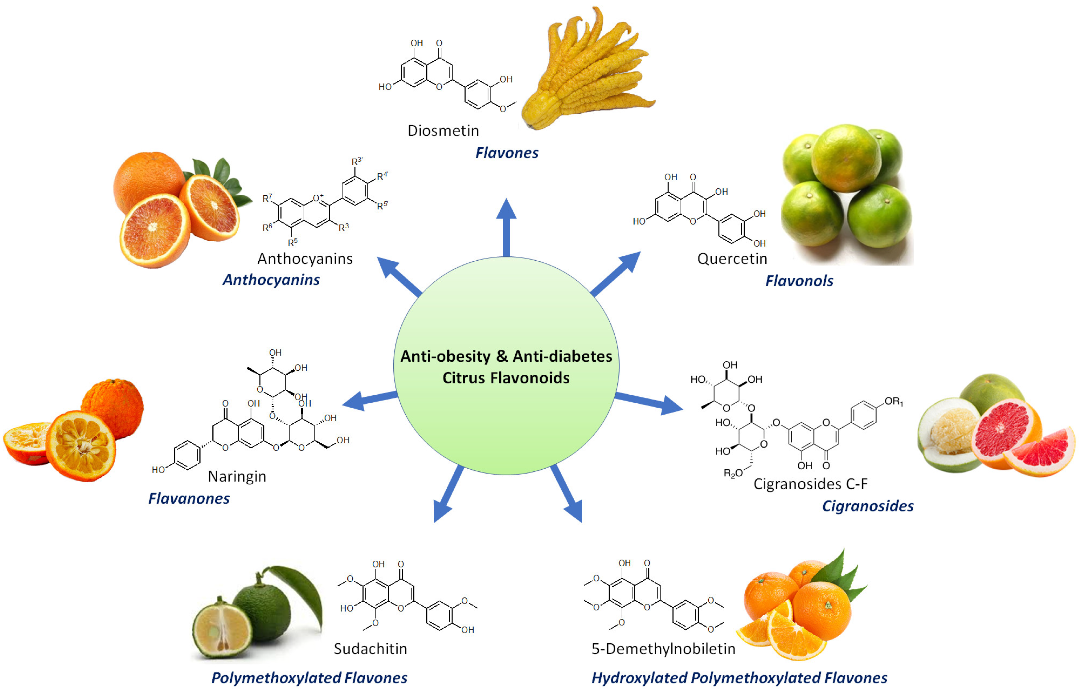 Future Pharmacology | Free Full-Text | Therapeutic Potential of