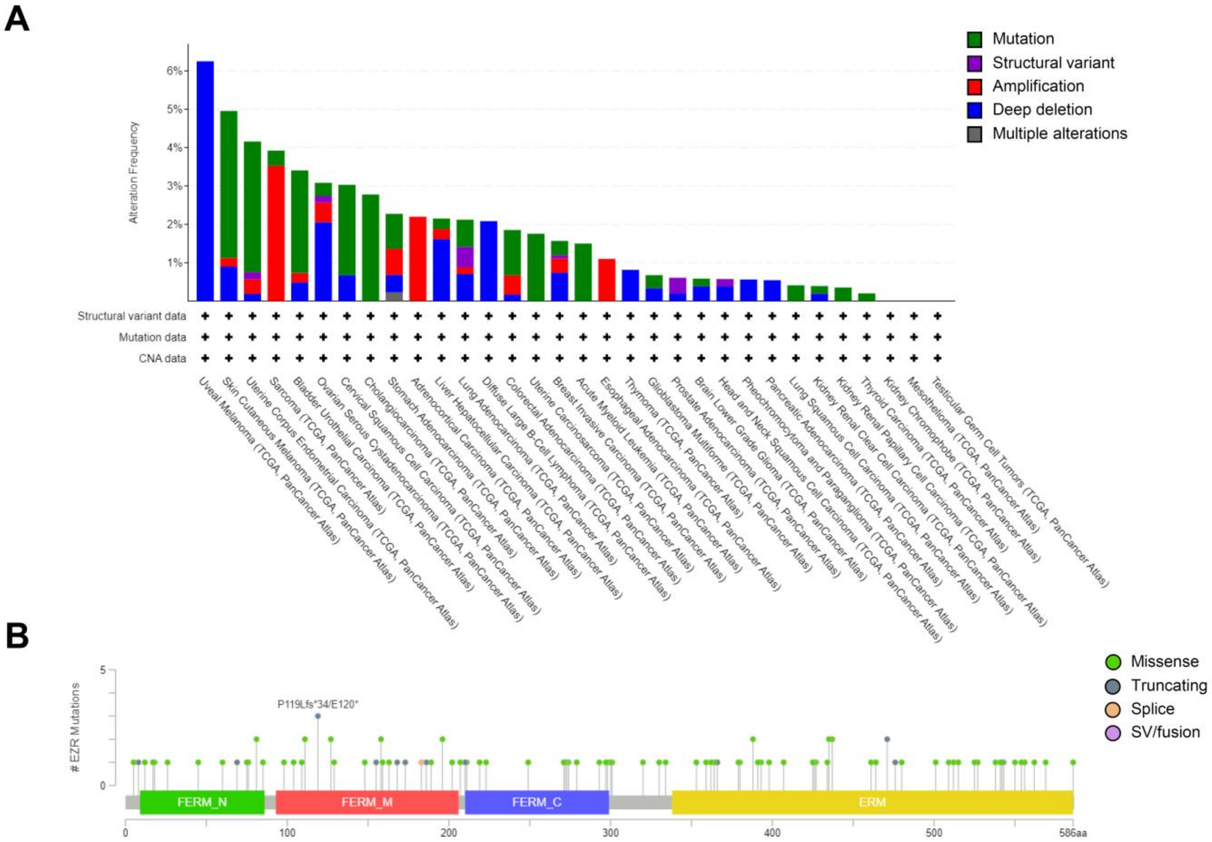 Futurepharmacol 03 00005 g003 Futurepharmacol 03 00005 g003