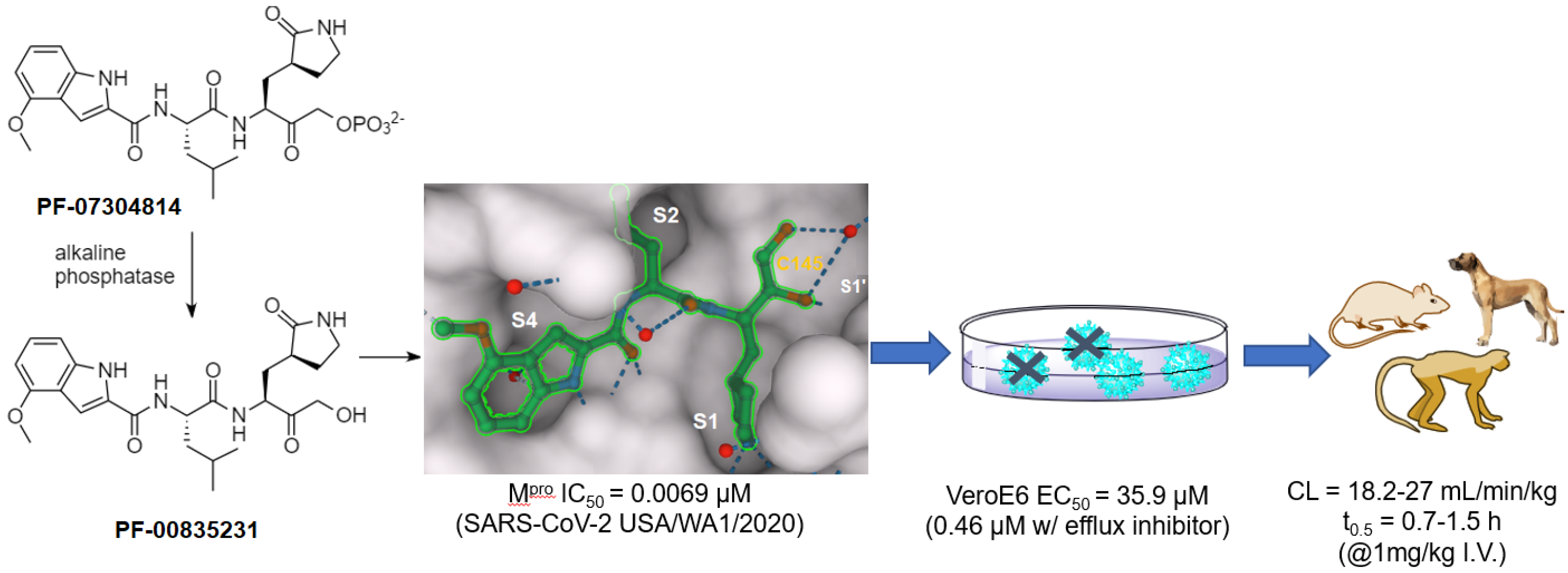 Futurepharmacol 03 00006 g004 Futurepharmacol 03 00006 g004