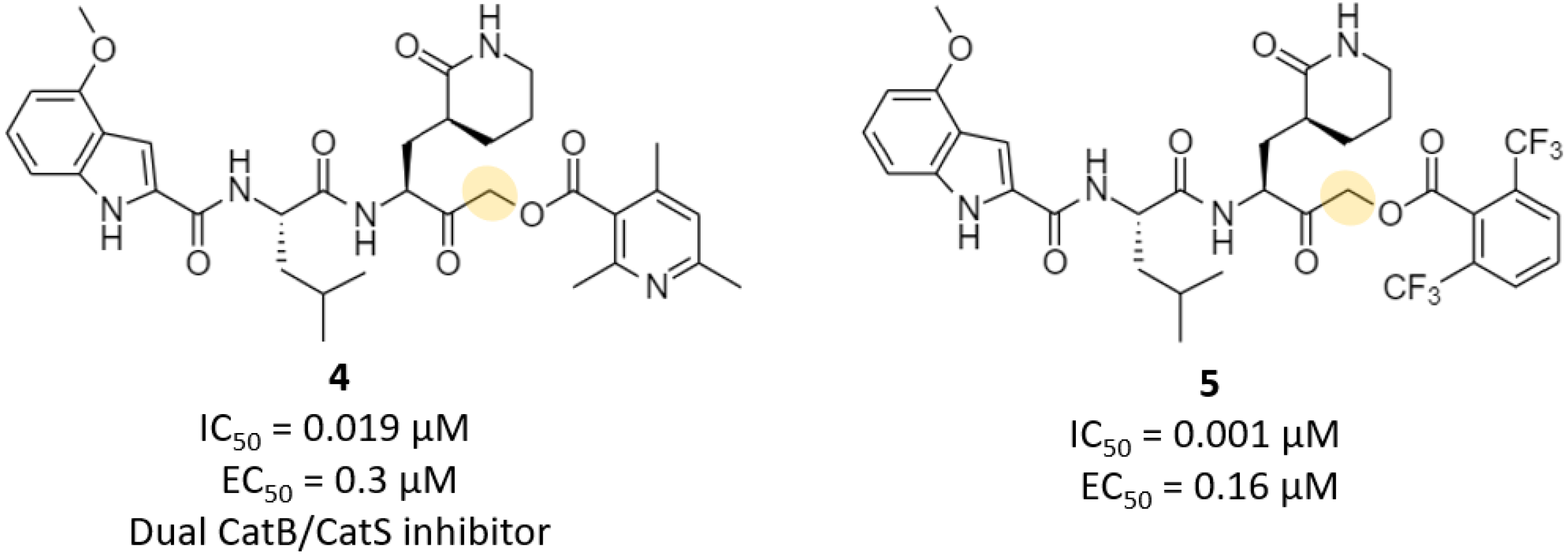 Futurepharmacol 03 00006 g005 Futurepharmacol 03 00006 g005