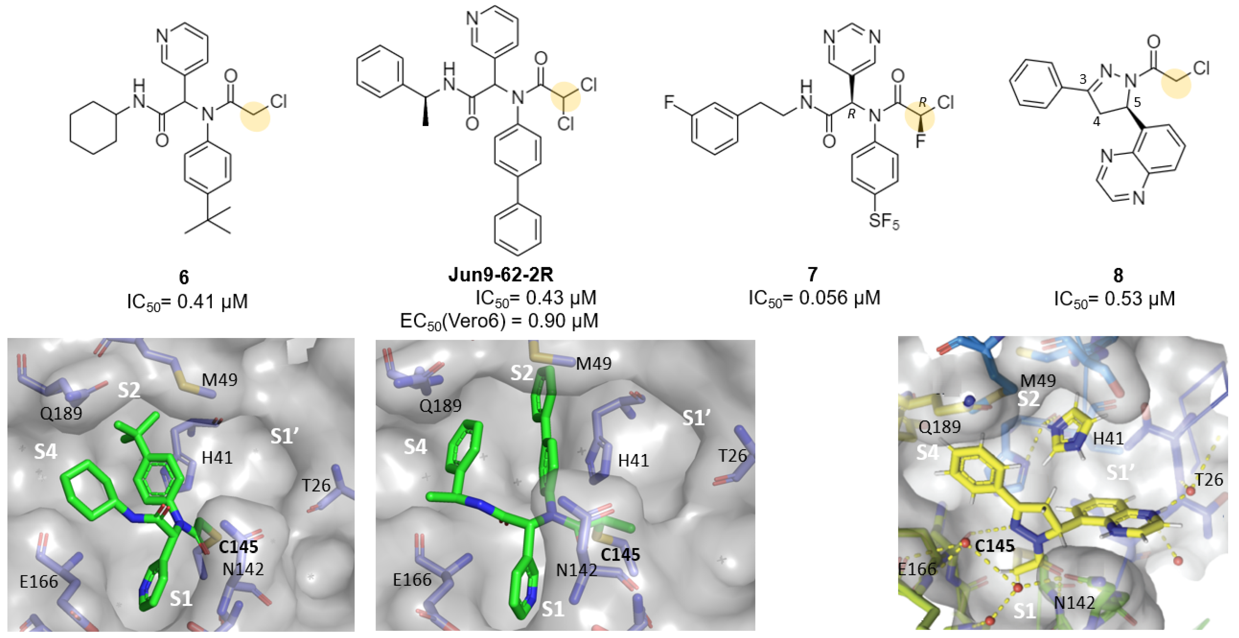 Futurepharmacol 03 00006 g006 Futurepharmacol 03 00006 g006