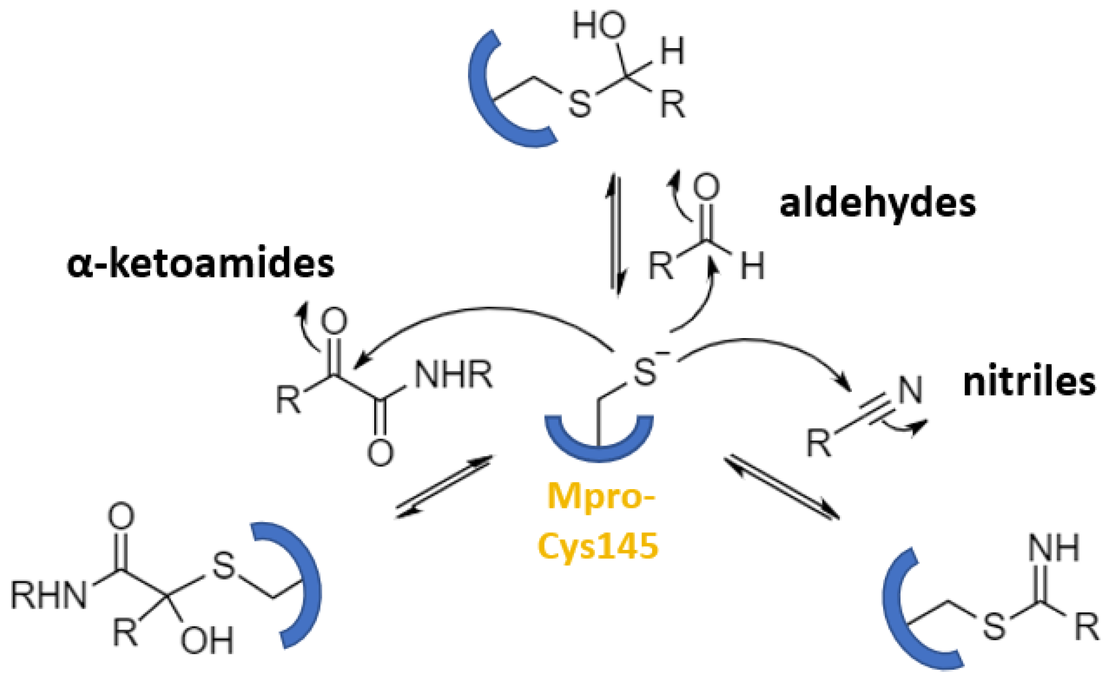 Futurepharmacol 03 00006 g009 Futurepharmacol 03 00006 g009