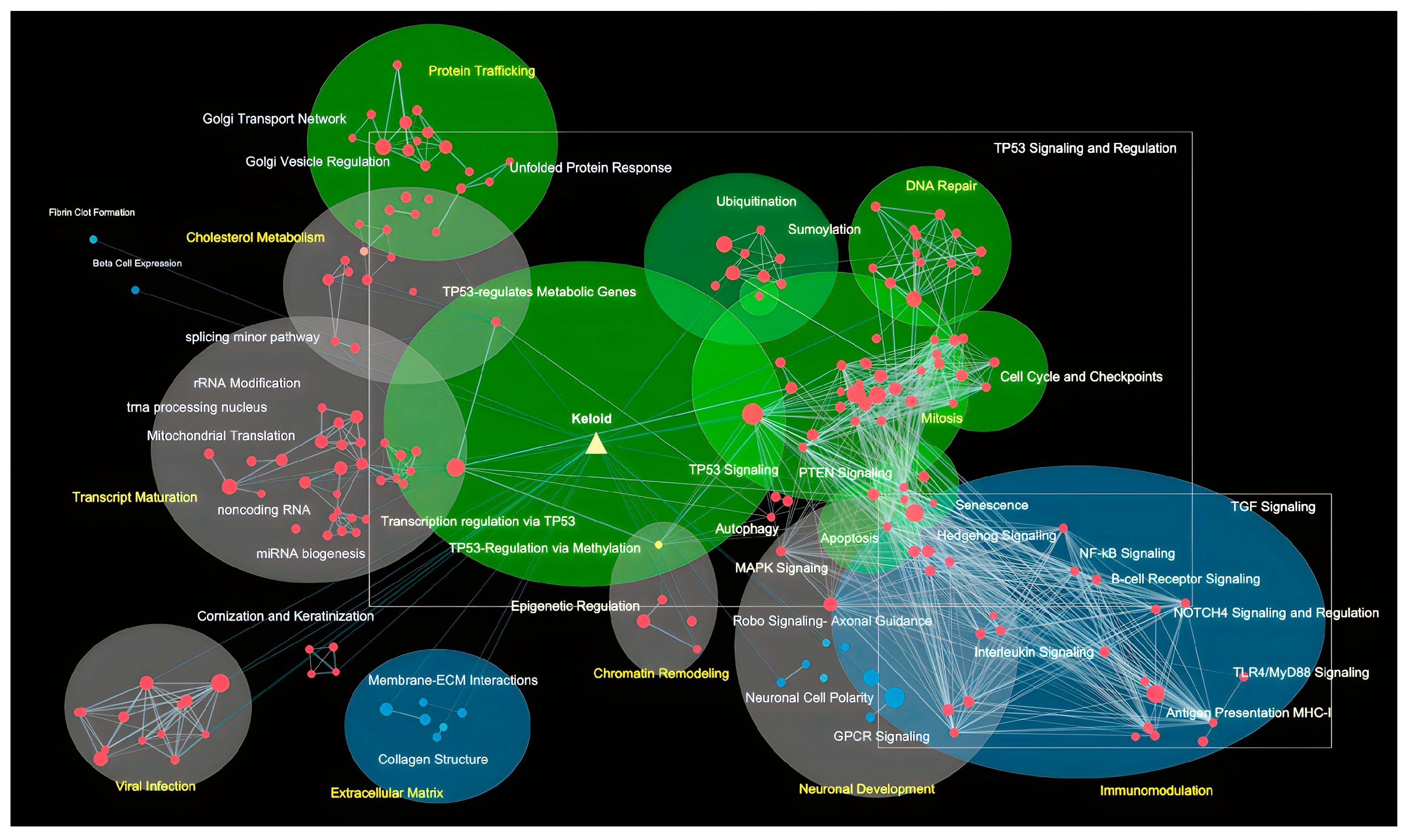 Futurepharmacol 03 00014 g003 Futurepharmacol 03 00014 g003