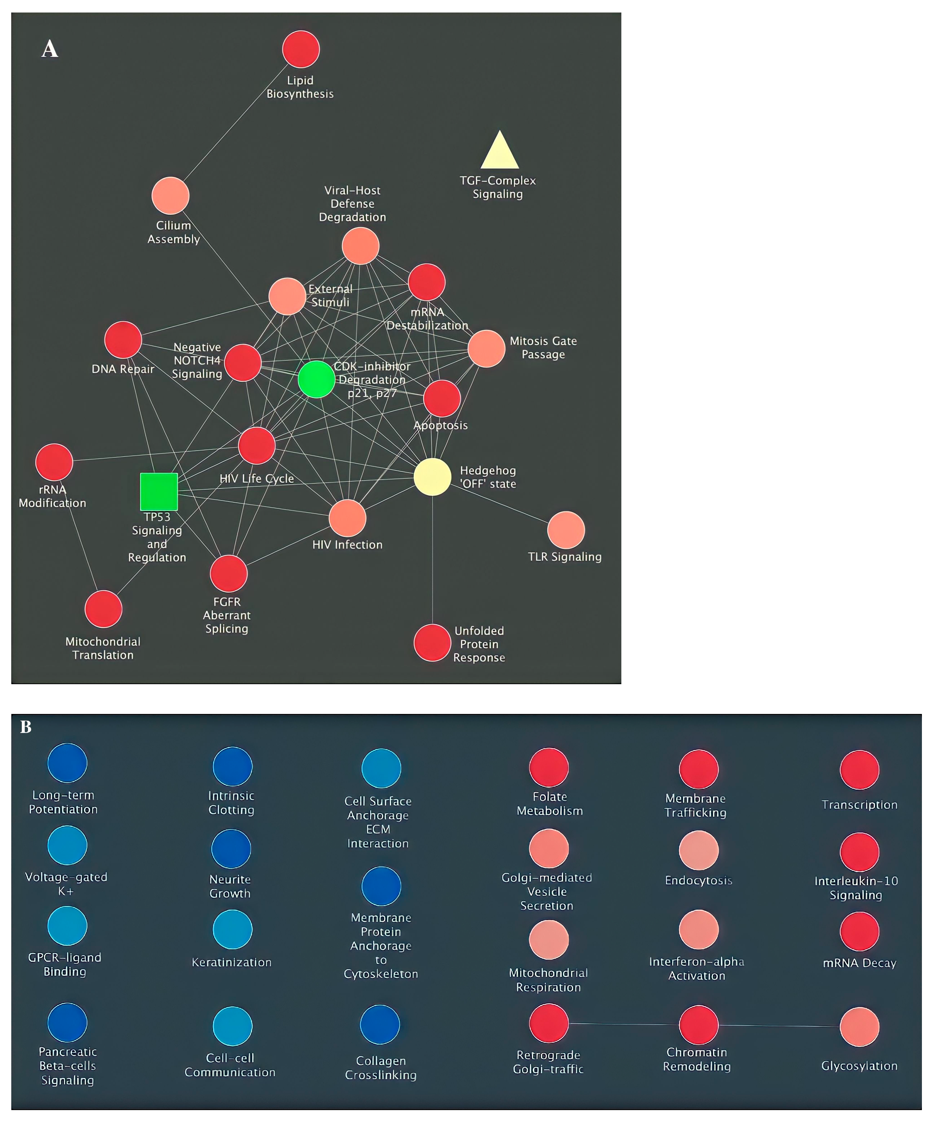 Futurepharmacol 03 00014 g004a Futurepharmacol 03 00014 g004a