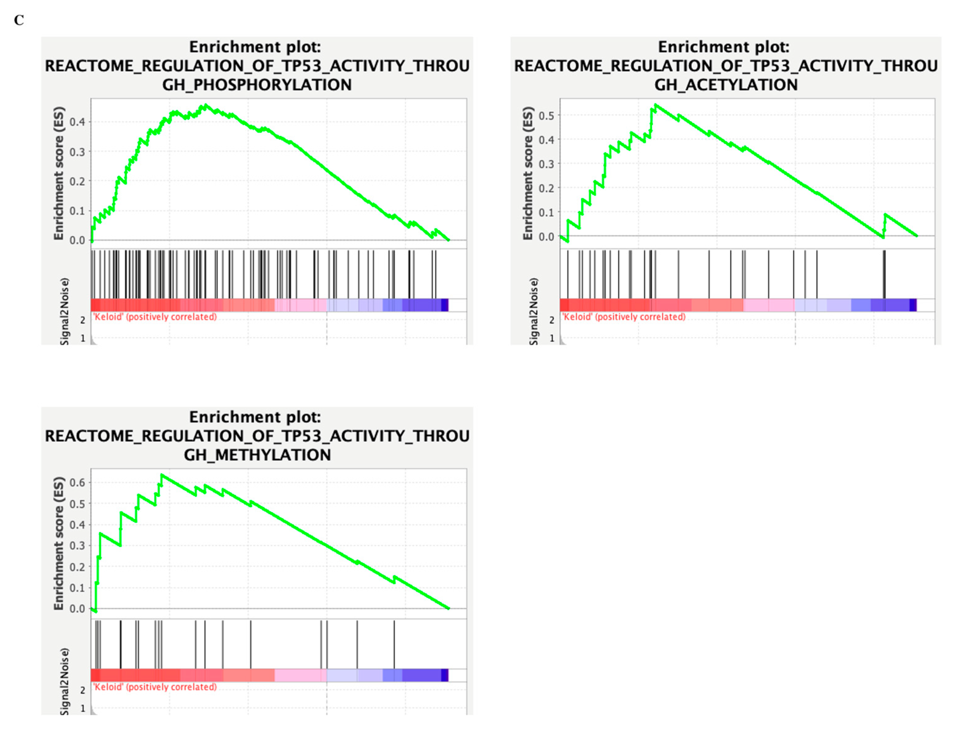 Futurepharmacol 03 00014 g004b Futurepharmacol 03 00014 g004b