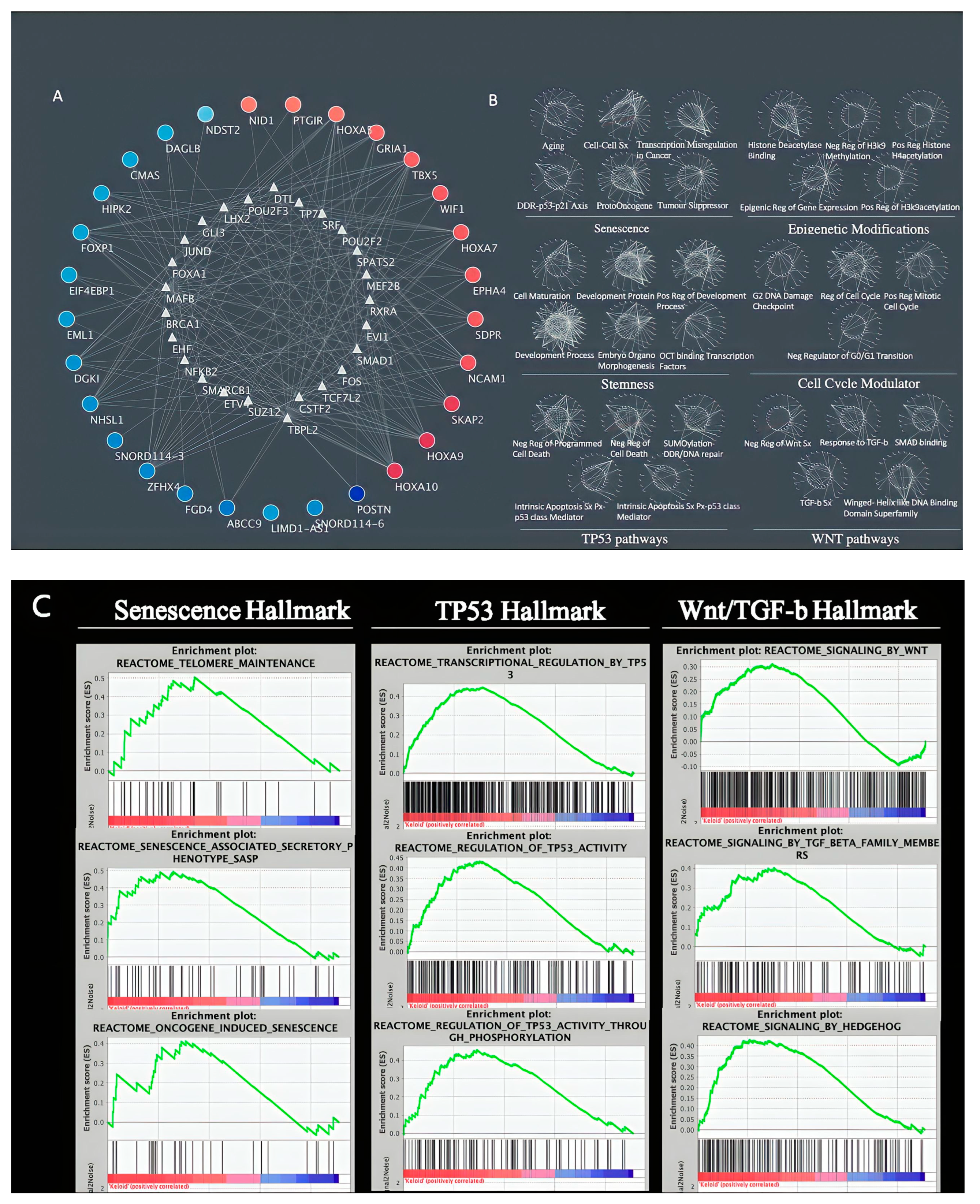 Futurepharmacol 03 00014 g005 Futurepharmacol 03 00014 g005