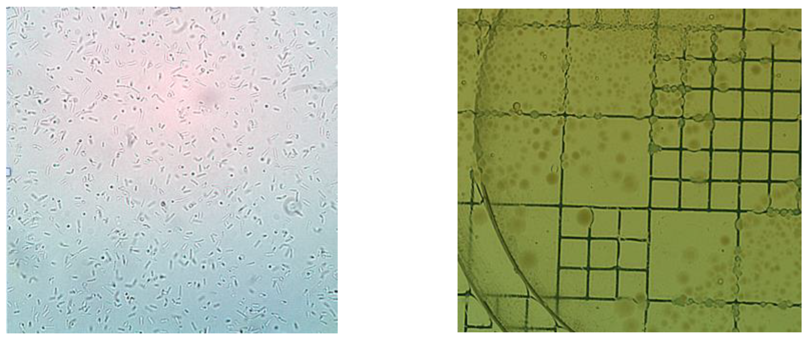 Futurepharmacol 03 00035 g004 Futurepharmacol 03 00035 g004