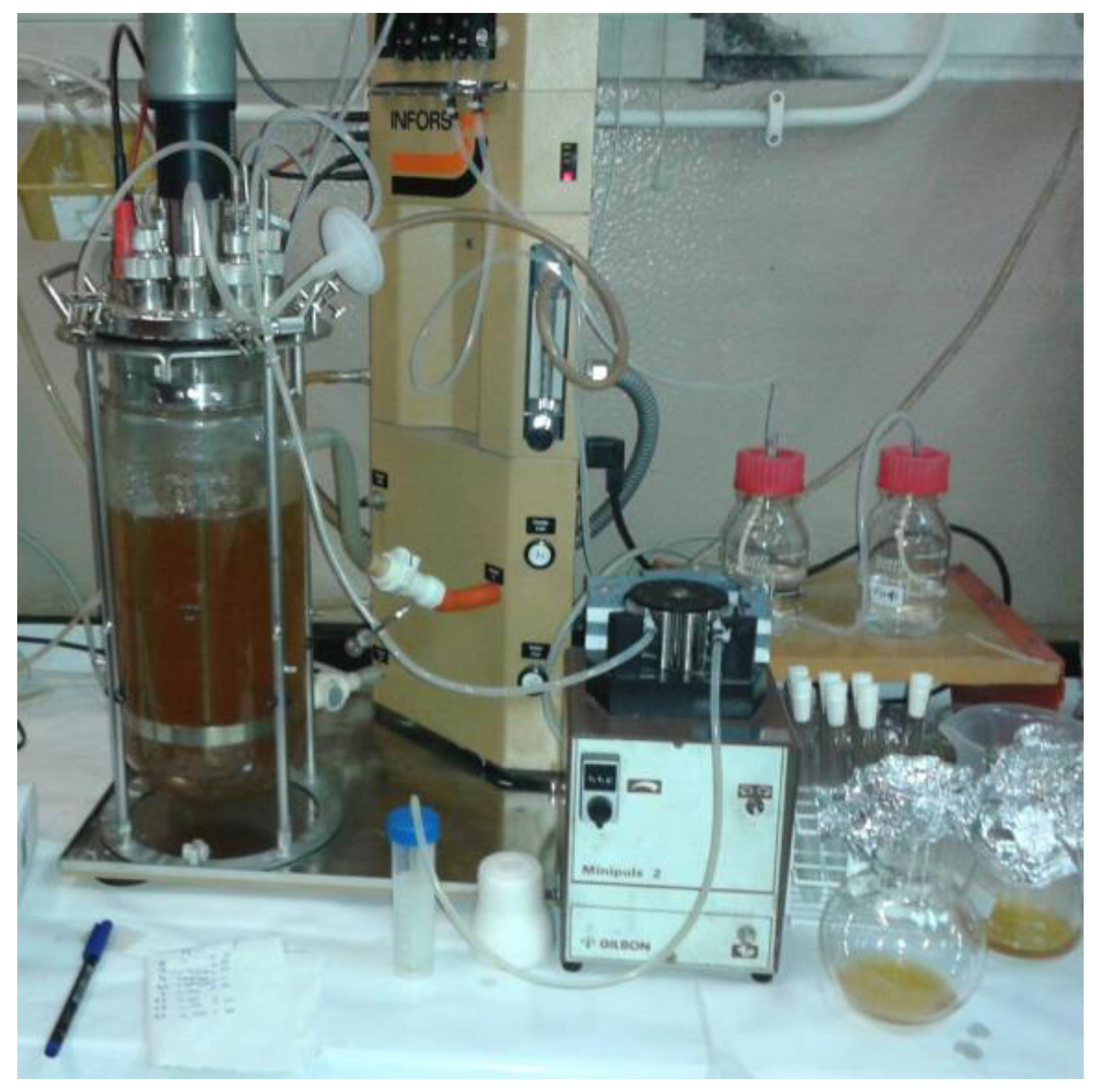 Futurepharmacol 03 00035 g009 Futurepharmacol 03 00035 g009