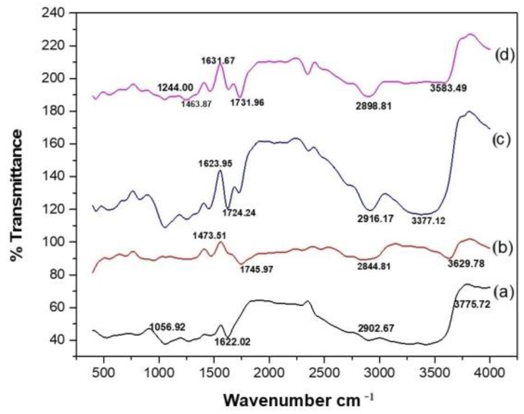 Futurepharmacol 03 00044 g005