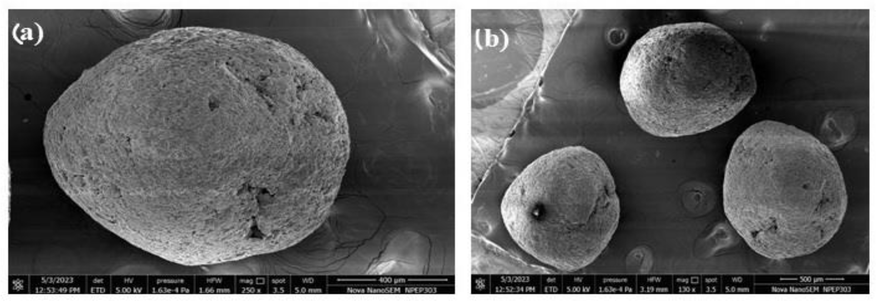 Futurepharmacol 03 00044 g016