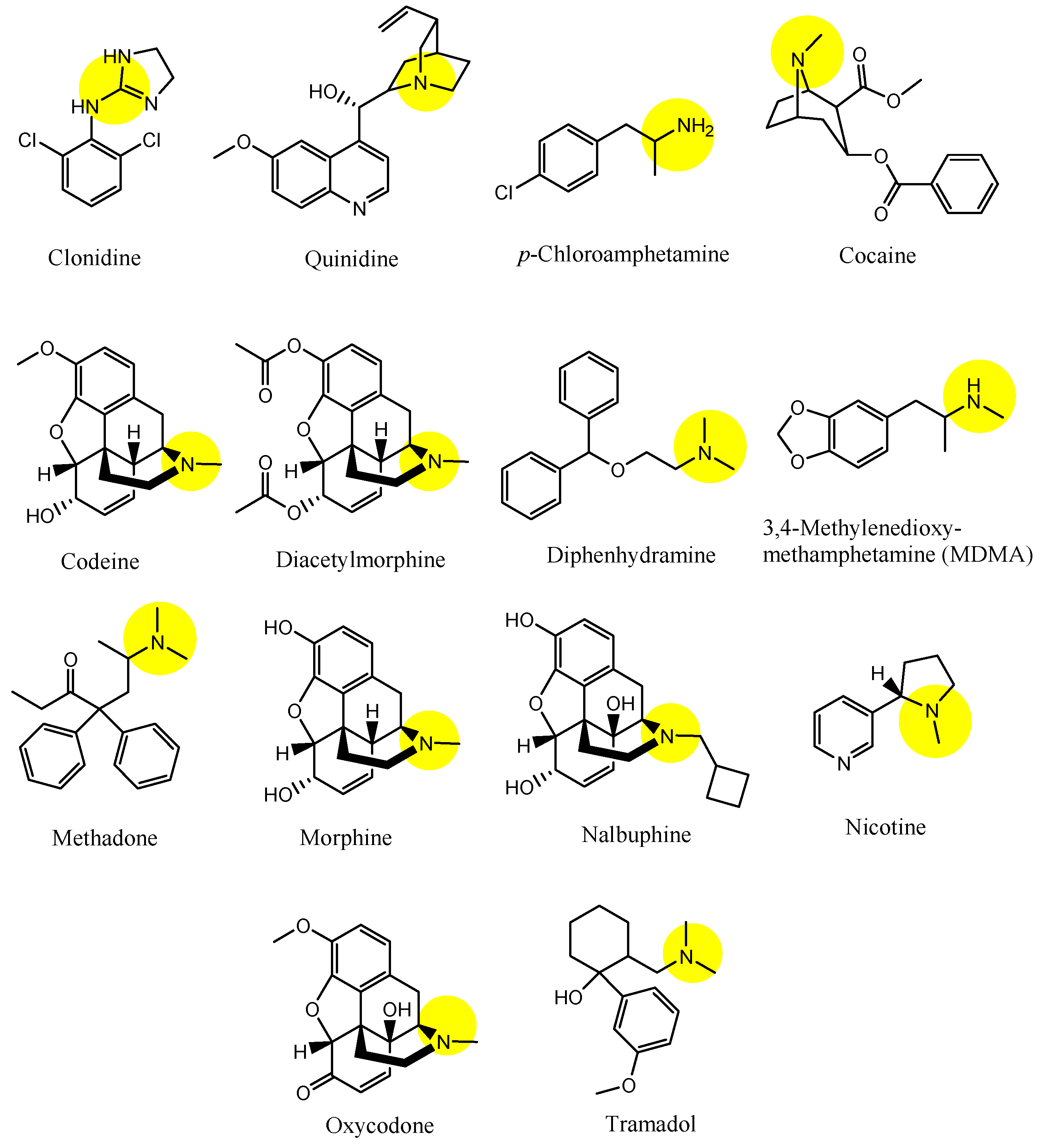 Futurepharmacol 03 00046 g004