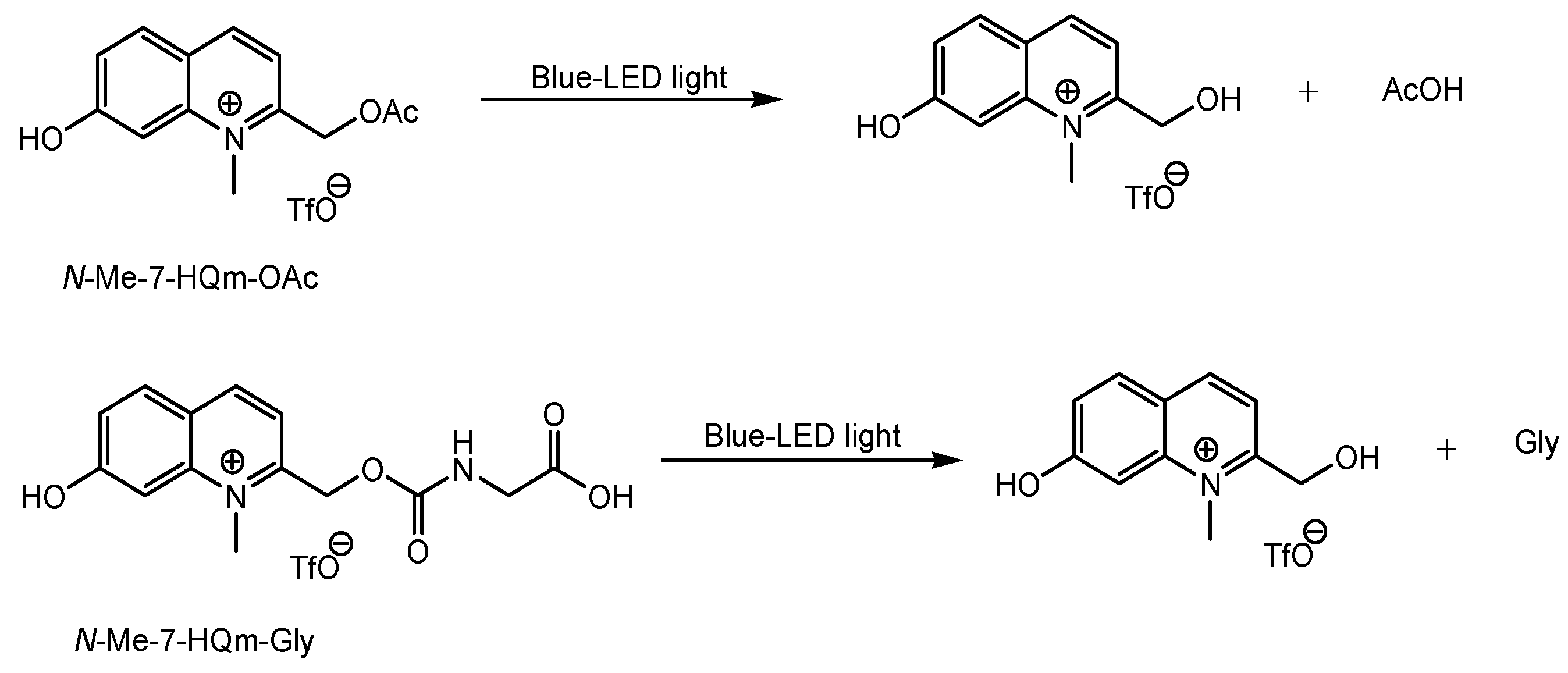 Futurepharmacol 03 00046 g017