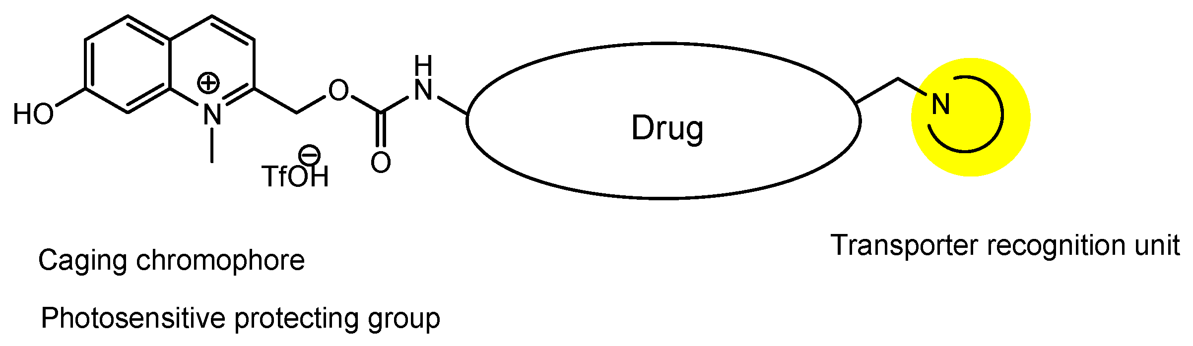 Futurepharmacol 03 00046 g018