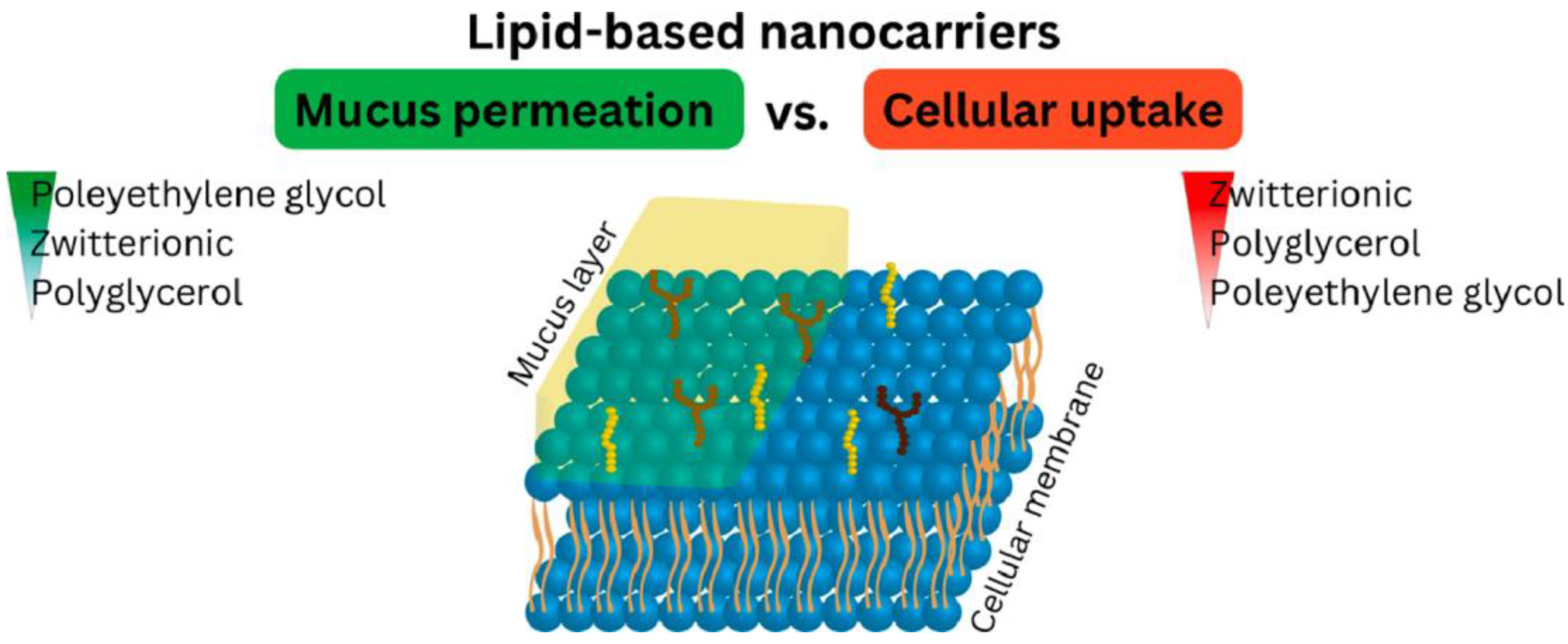 Futurepharmacol 03 00047 g010 Futurepharmacol 03 00047 g010