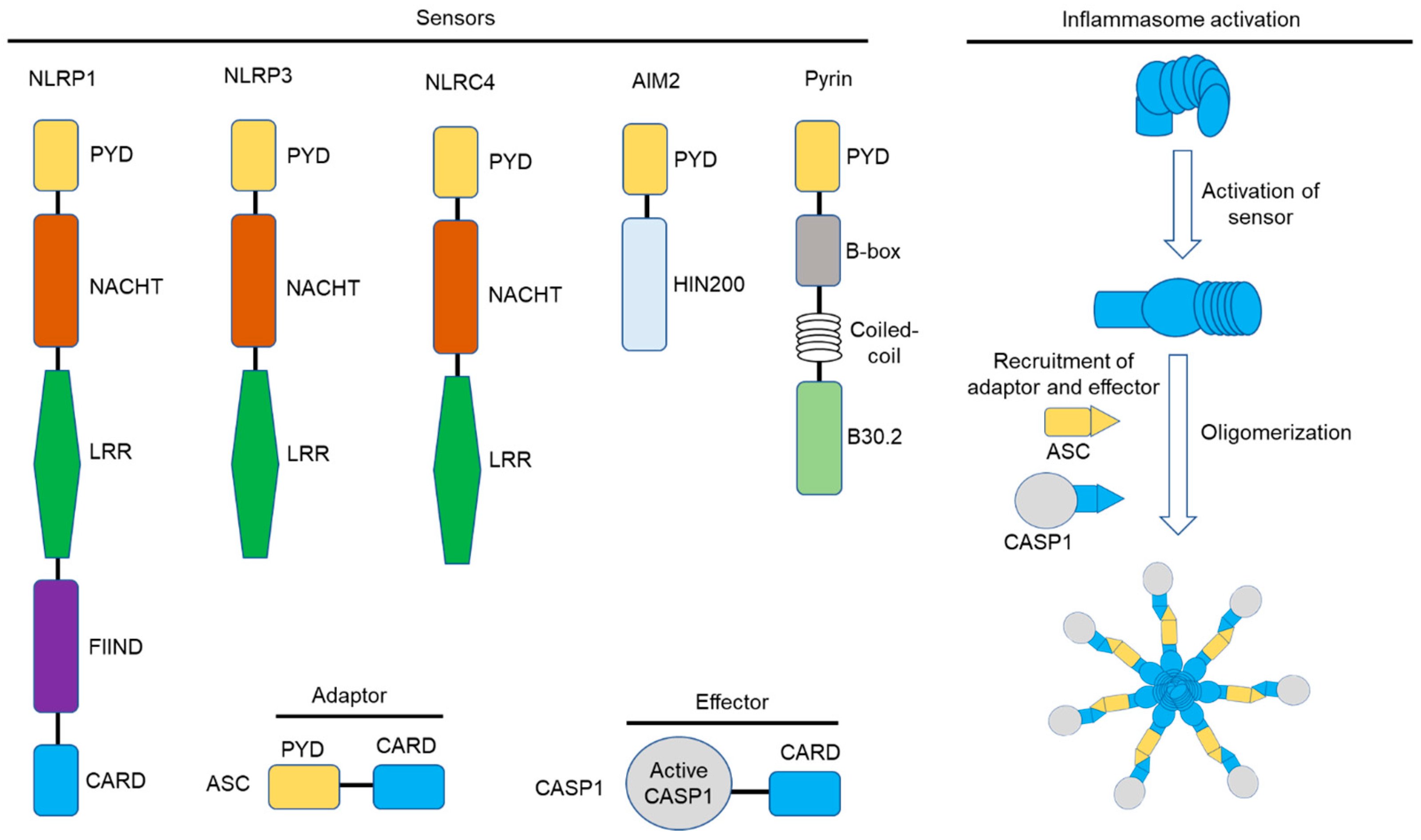 Futurepharmacol 03 00048 g001