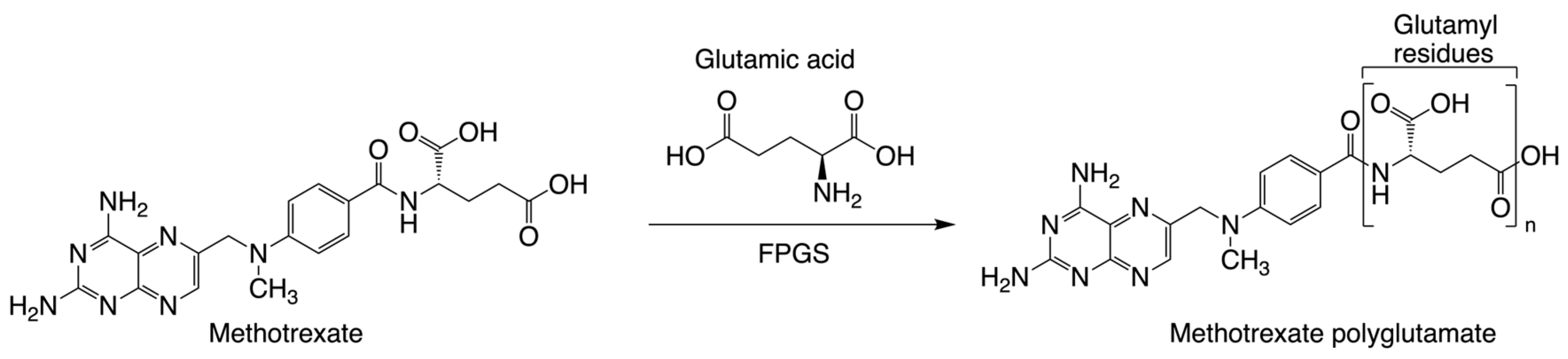 Futurepharmacol 03 00049 g001