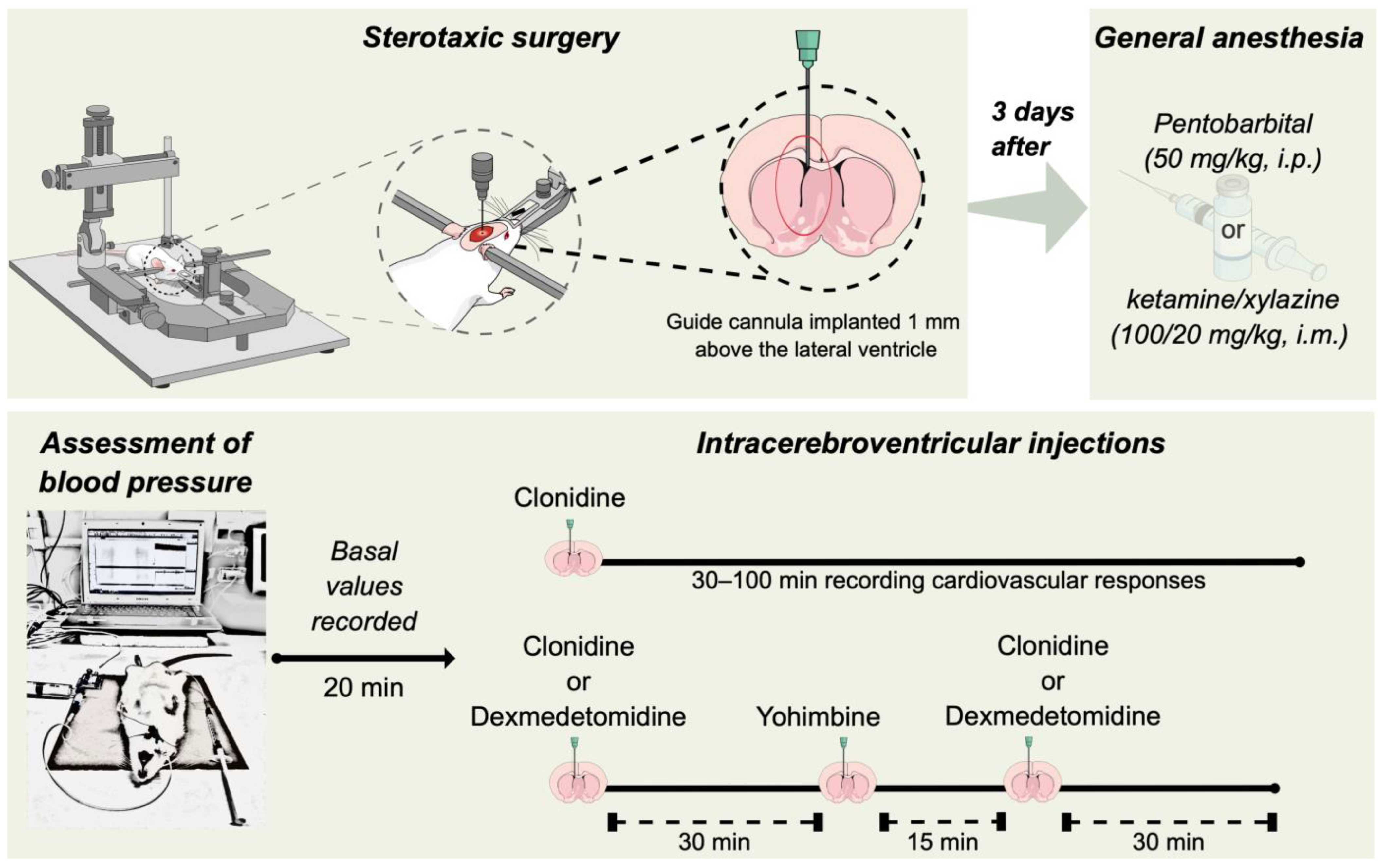 Futurepharmacol 04 00003 g001 Futurepharmacol 04 00003 g001