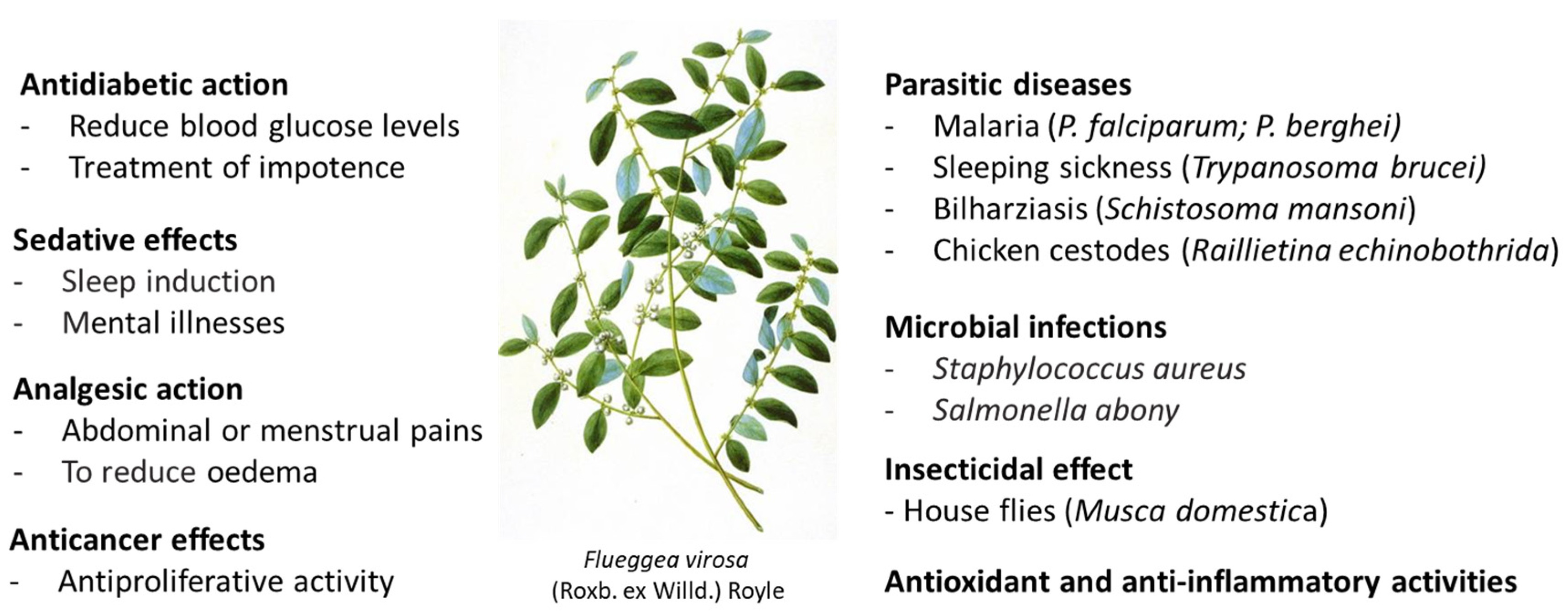 Futurepharmacol 04 00007 g002 Futurepharmacol 04 00007 g002