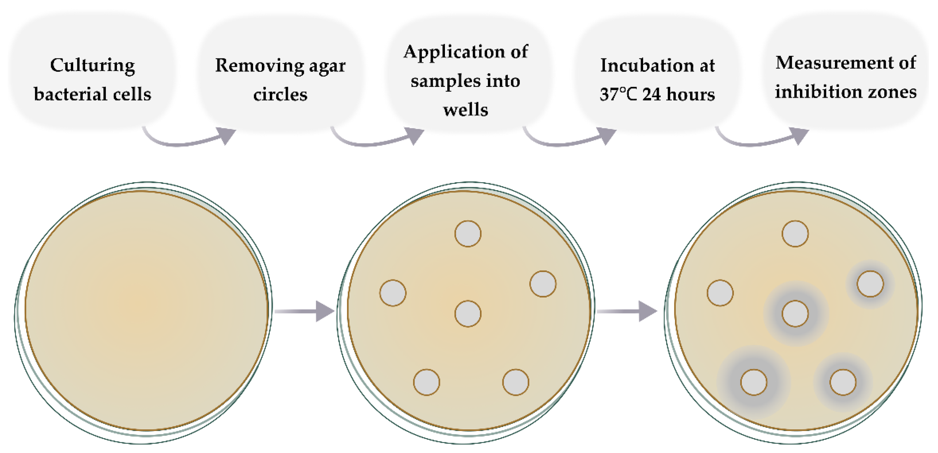 Futurepharmacol 04 00010 g010