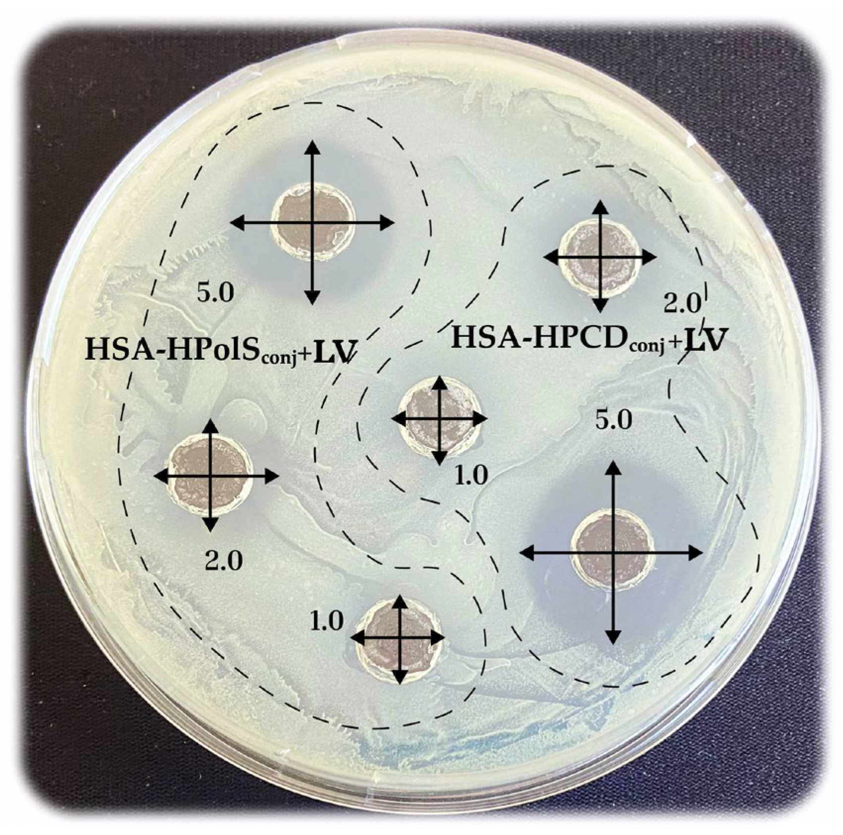 Futurepharmacol 04 00010 g013