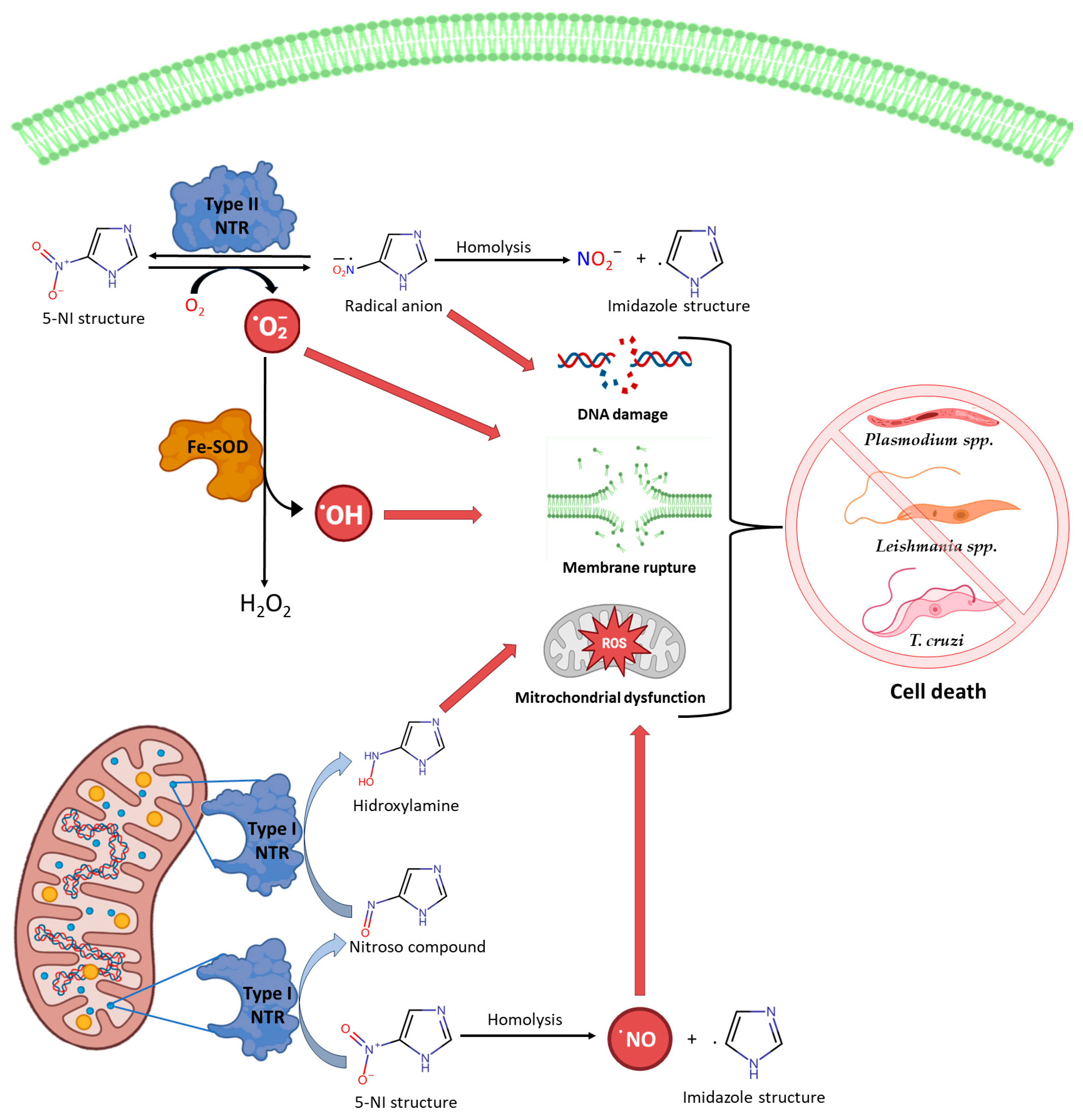 Futurepharmacol 04 00015 g001