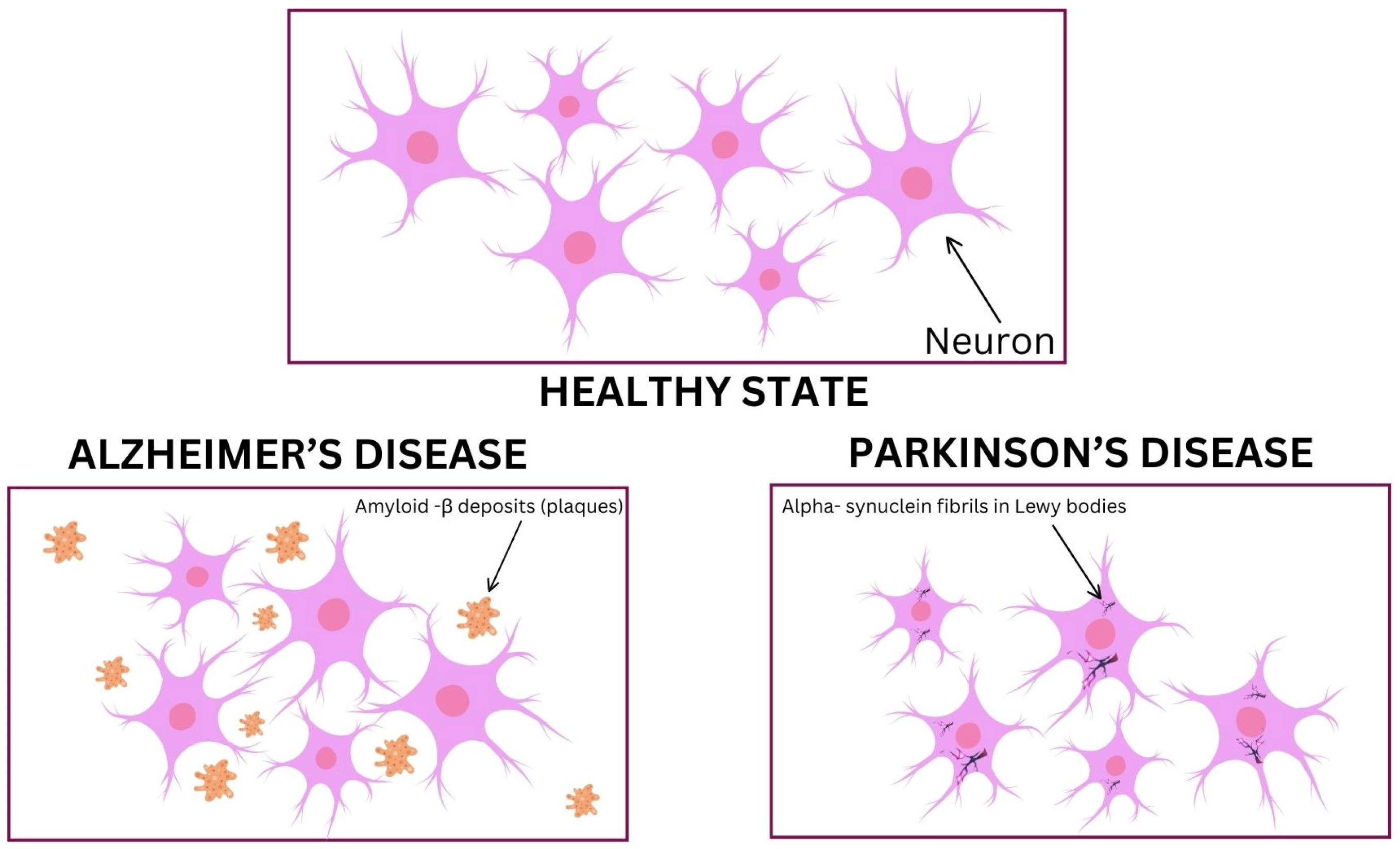 Futurepharmacol 04 00020 g002 Futurepharmacol 04 00020 g002