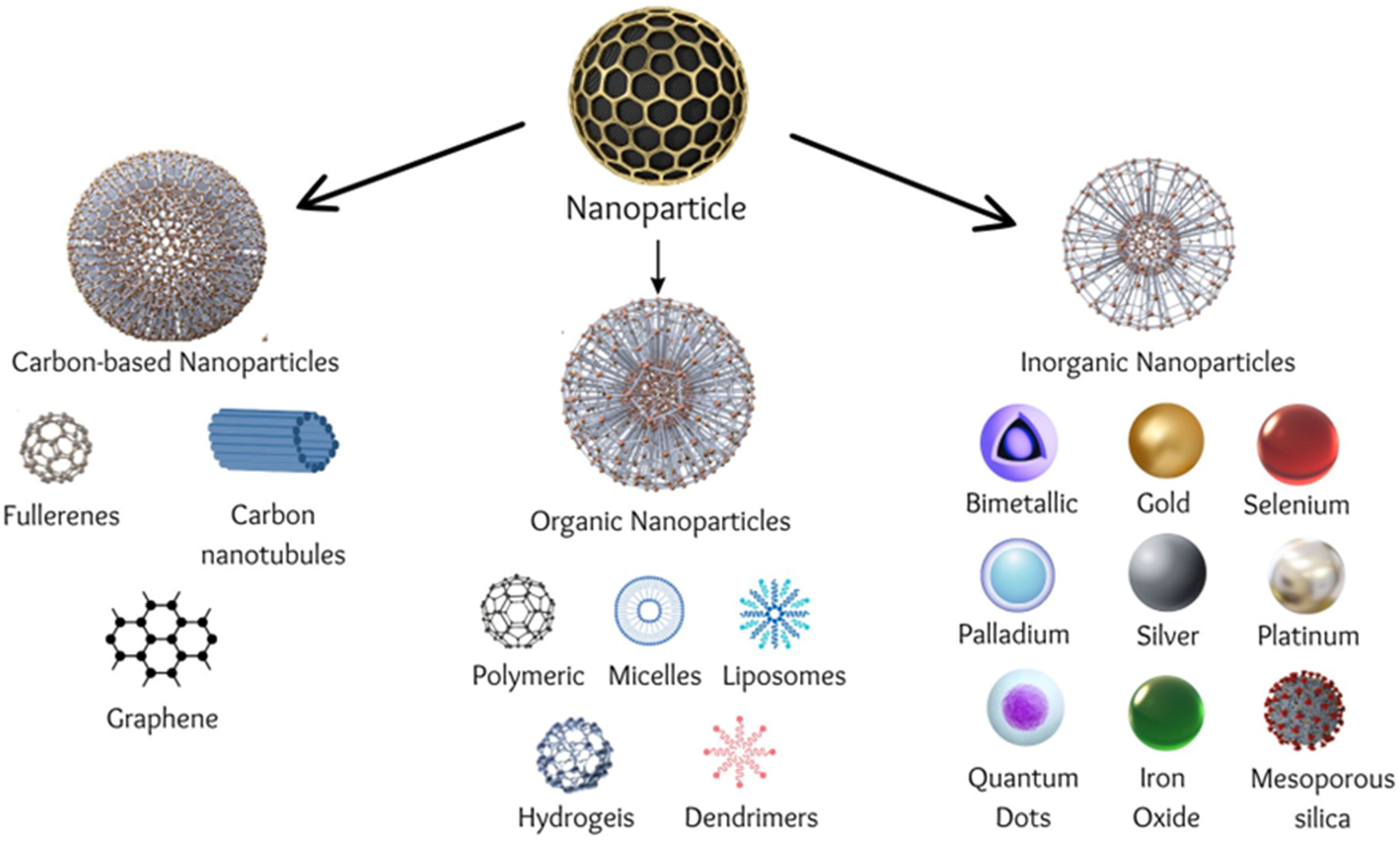 Futurepharmacol 04 00020 g003 Futurepharmacol 04 00020 g003