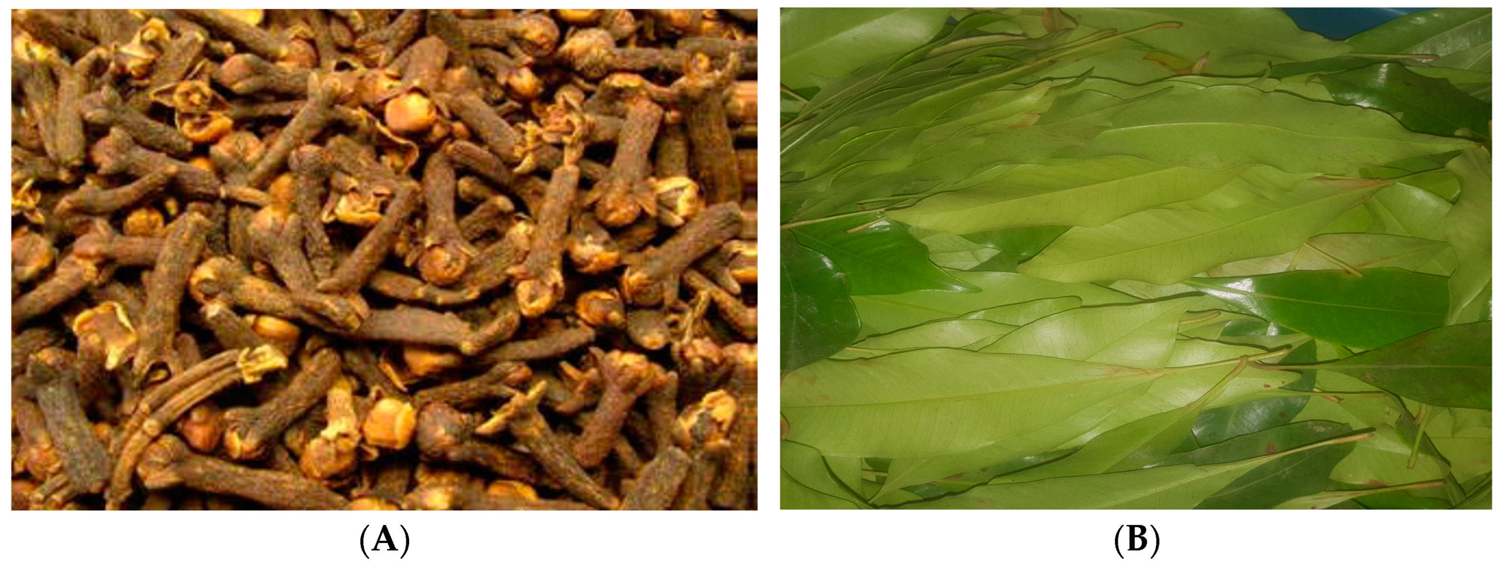 Futurepharmacol 04 00025 g001