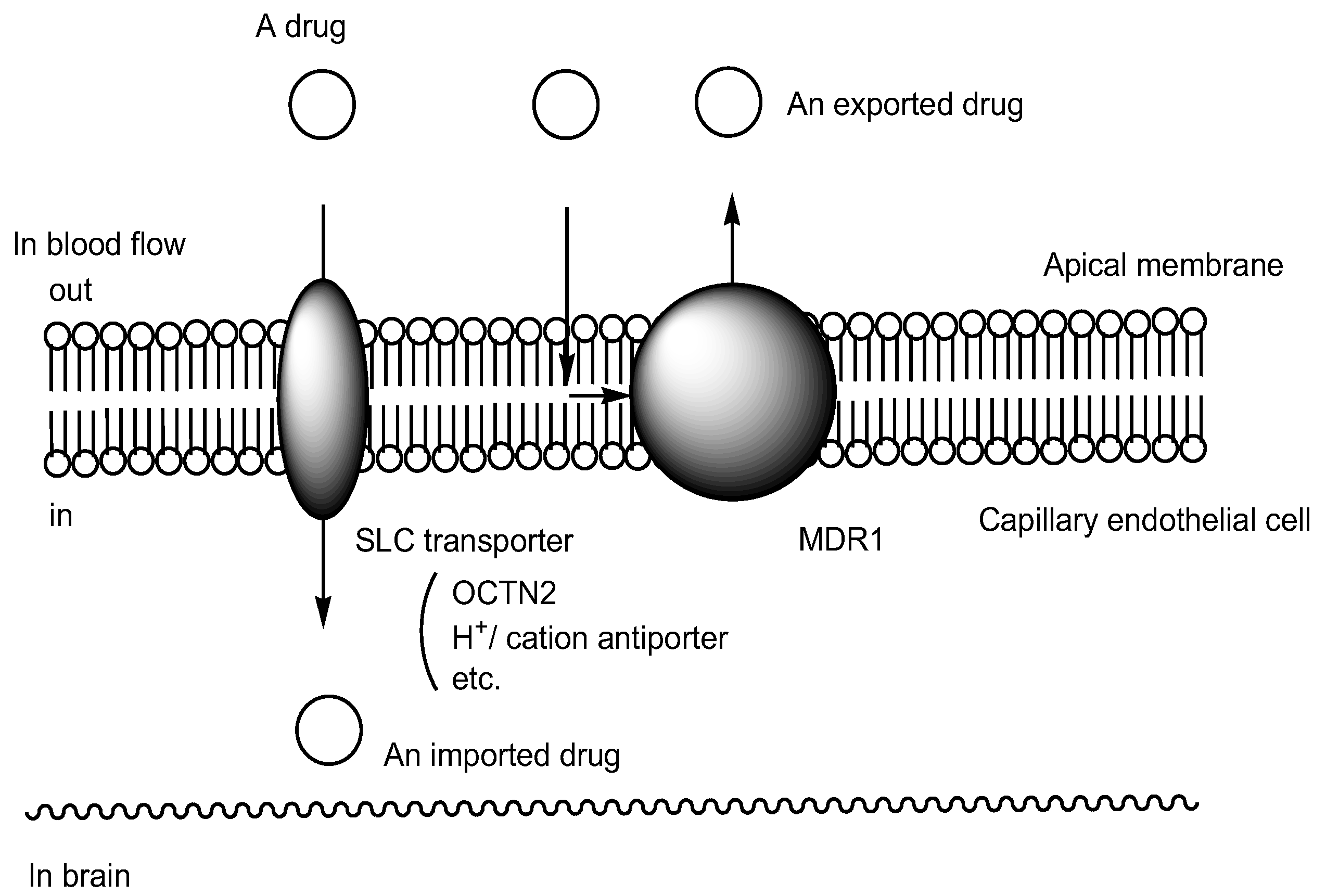 Futurepharmacol 04 00027 g001