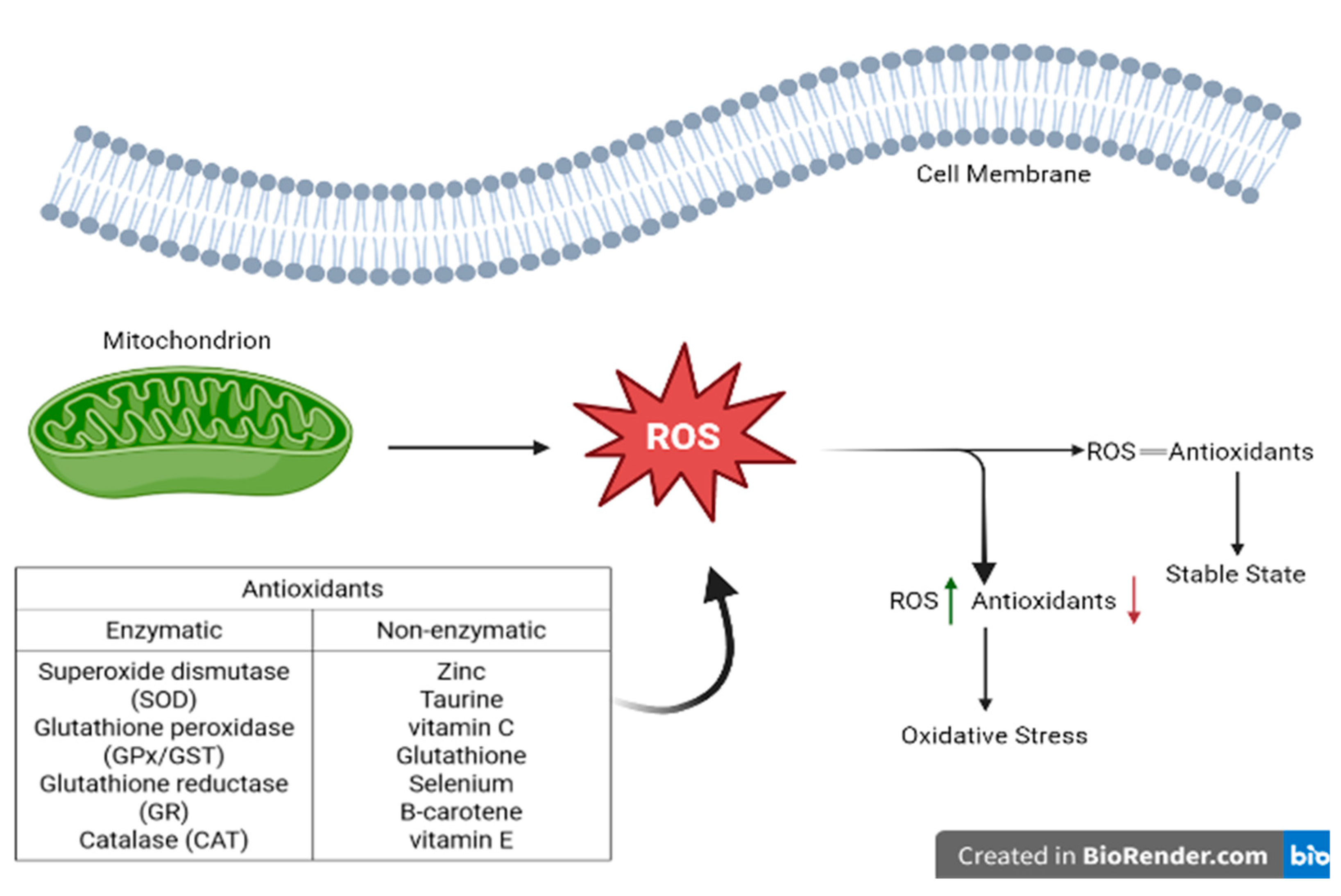 Futurepharmacol 04 00035 g002 Futurepharmacol 04 00035 g002