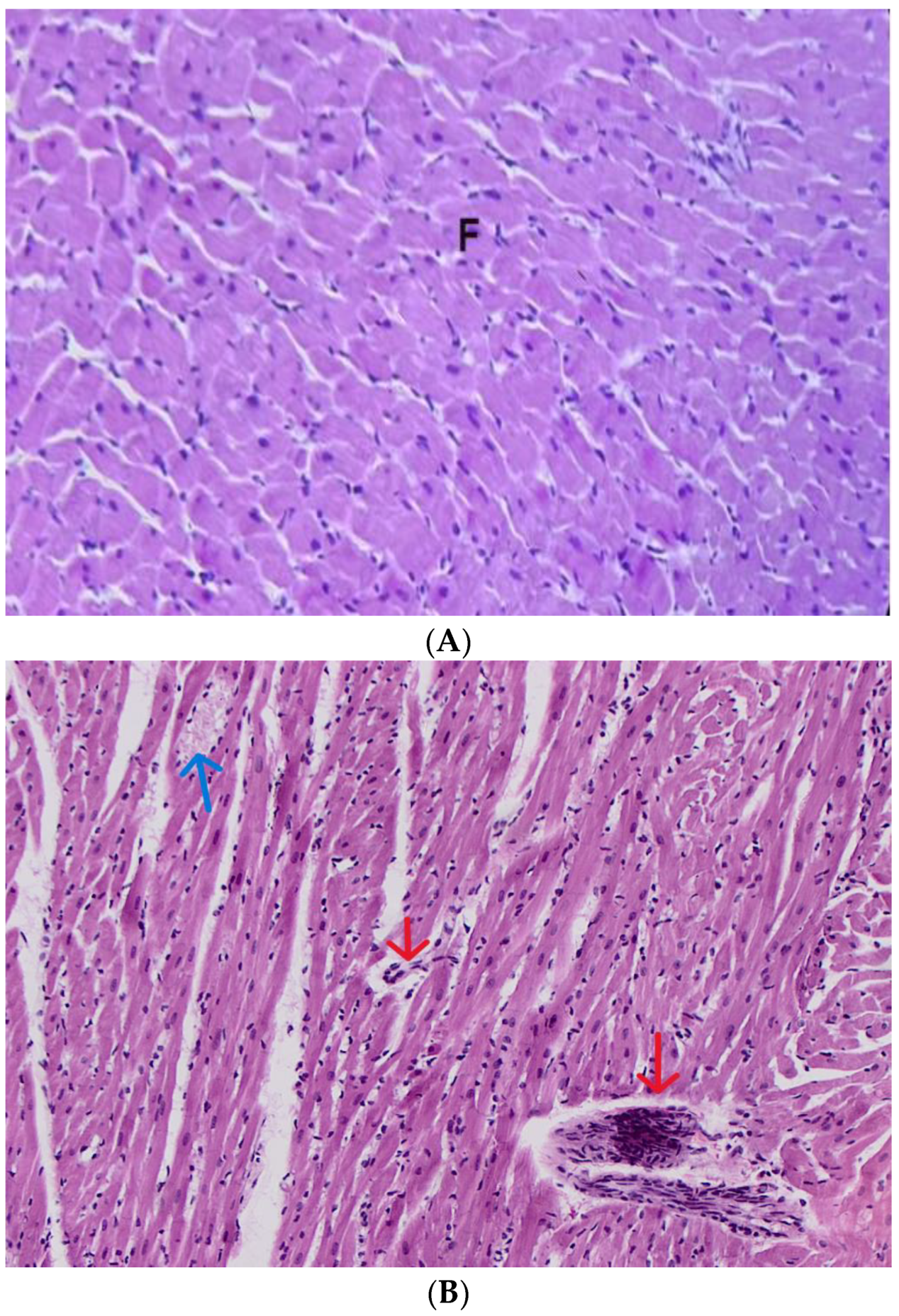 Futurepharmacol 04 00036 g011a