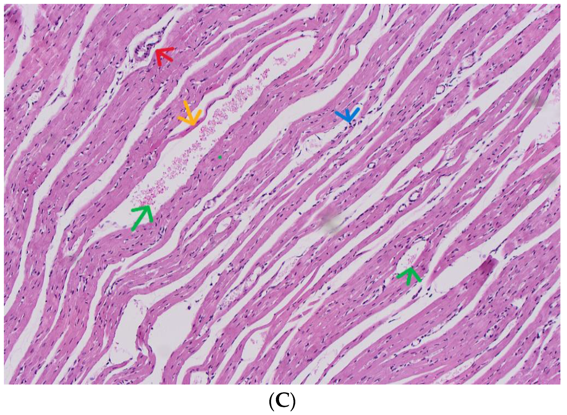Futurepharmacol 04 00036 g011b
