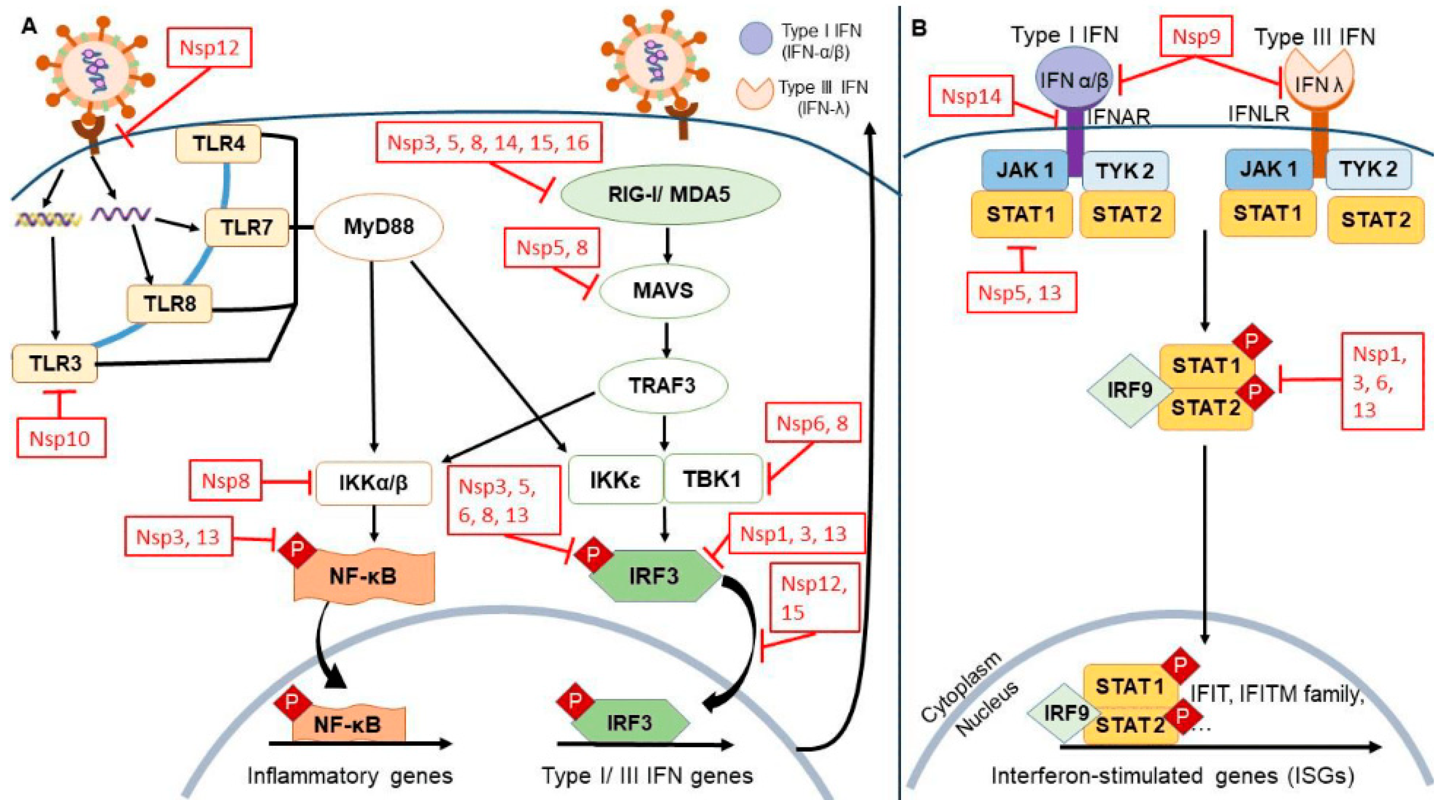 Futurepharmacol 04 00044 g006